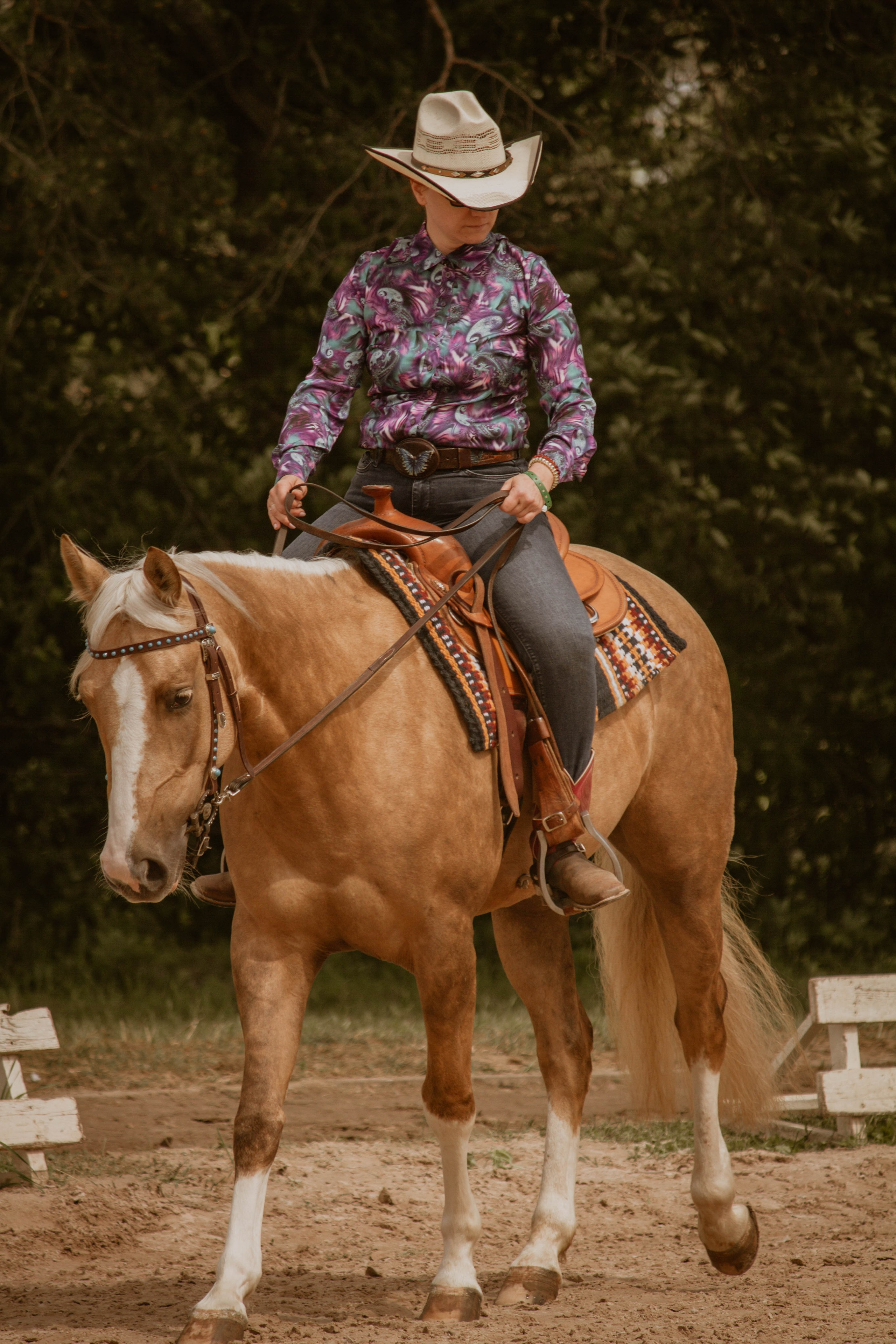 ИППОСФЕРА — Международная конная выставка. Создадим шедевр? Виталина и её фотоискусство