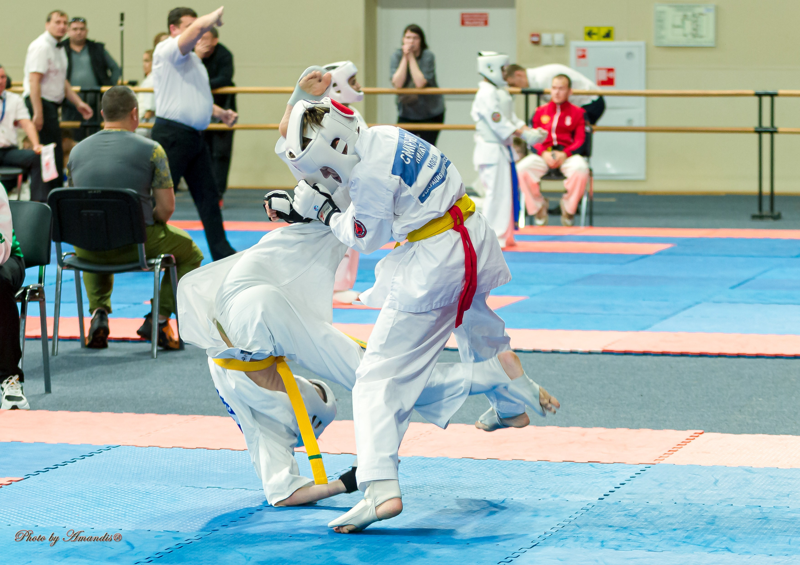 Первенство Московской области по Киокушин в СК «Жаворонки». Репортажная съемка в Москве и области. Анималистика