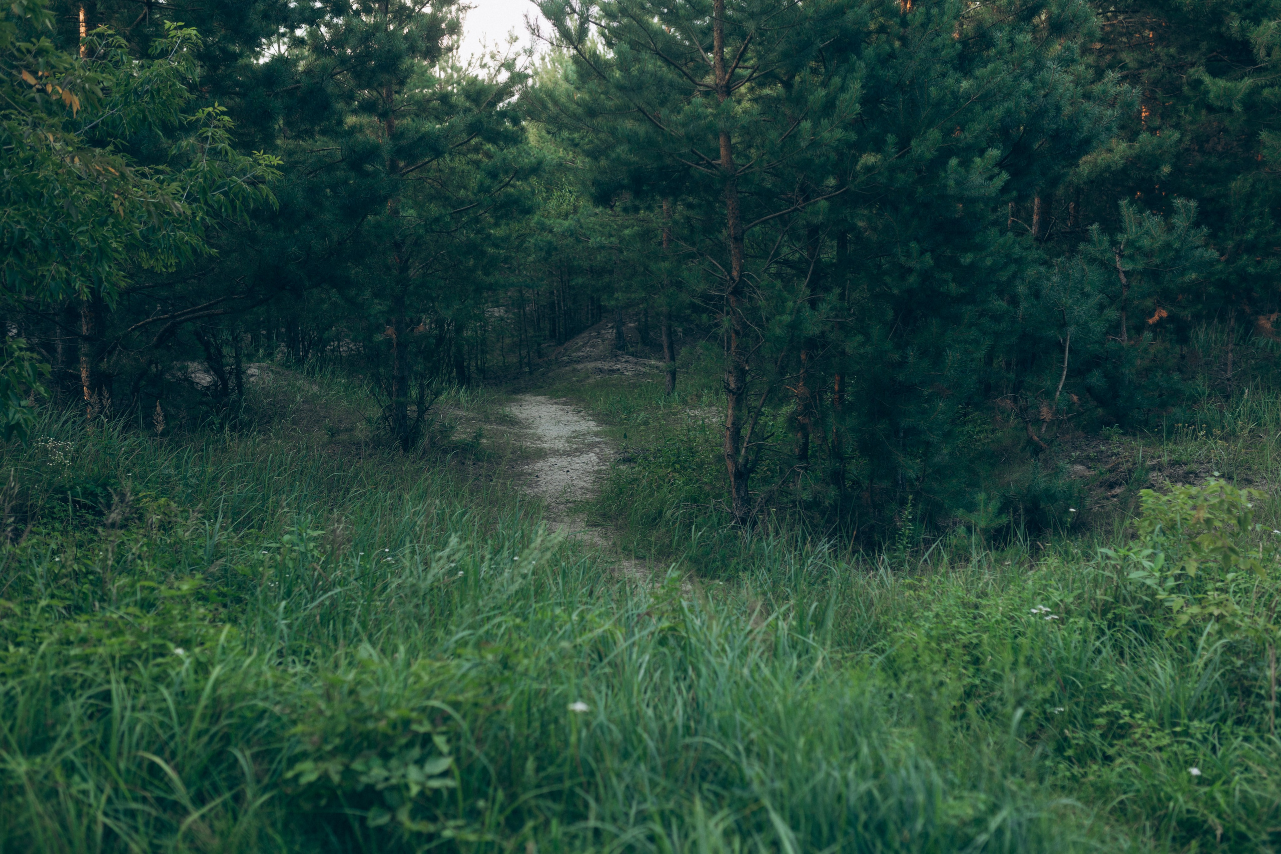 Контент для гипнотерапевта. Семейный и свадебный фотограф Брянск, Москва Ольга Ли