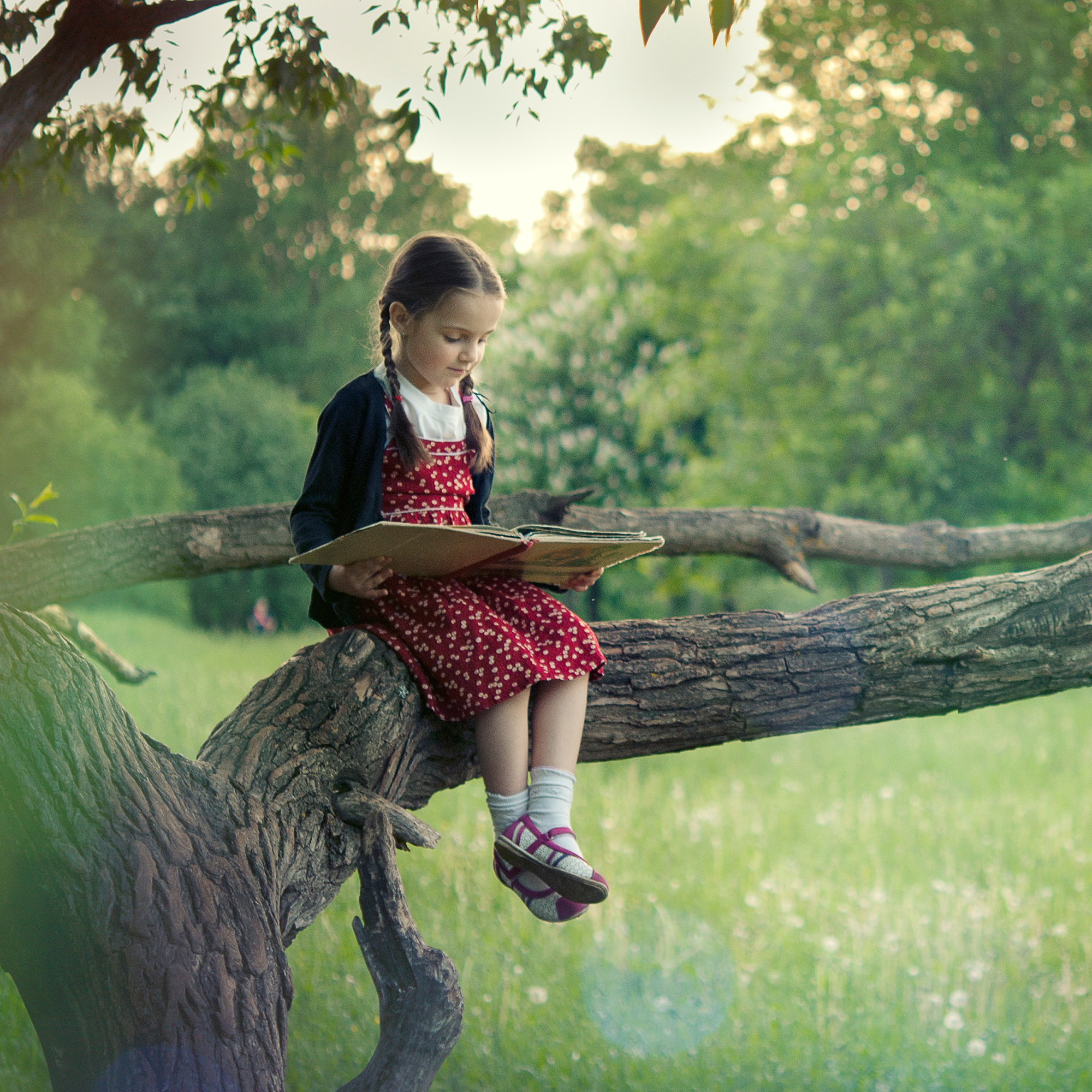 Девочка в ярком платье читает книжку на дереве в парке
