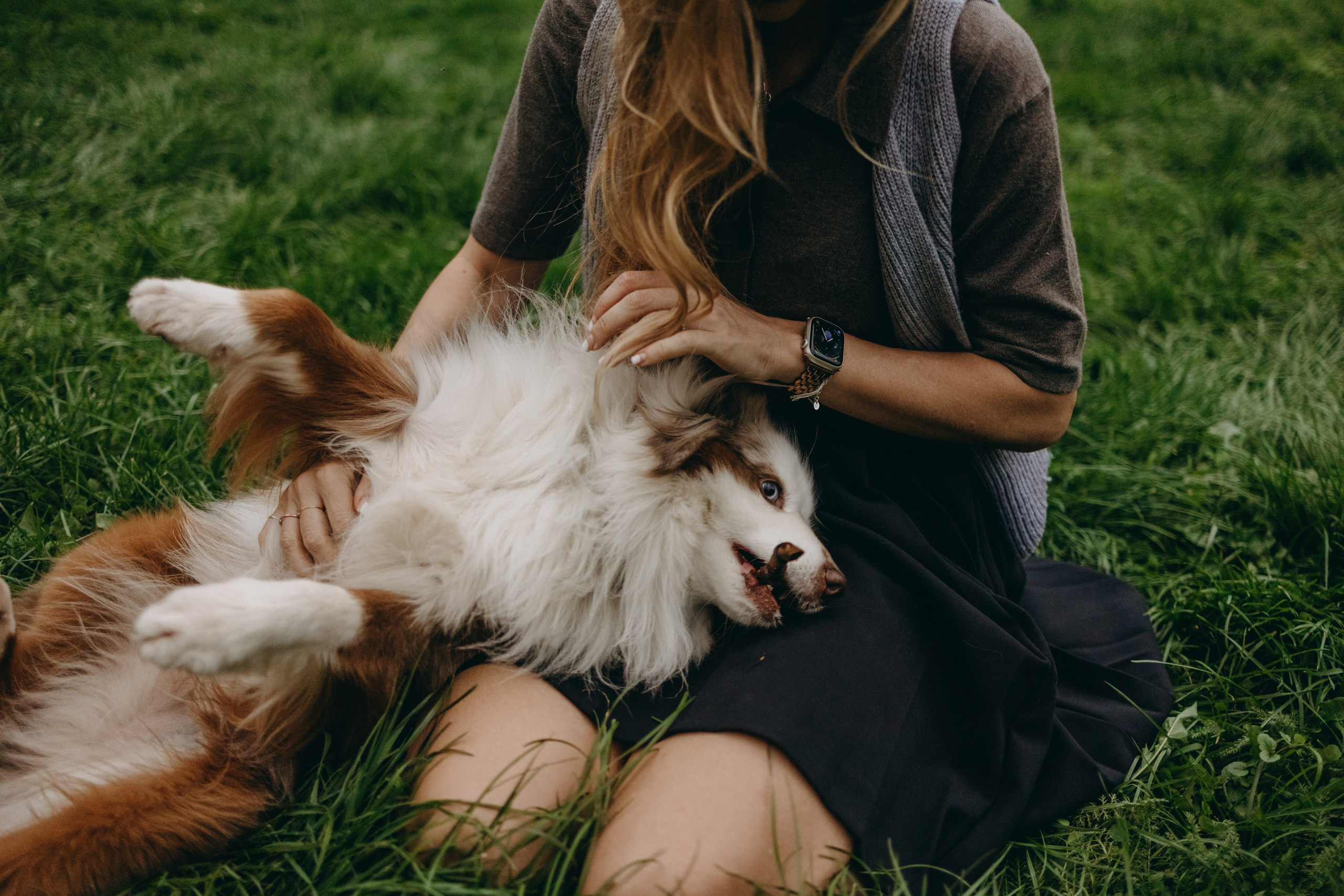 Маша и Эклер. Фотограф — Анималист | Санкт-Петербург