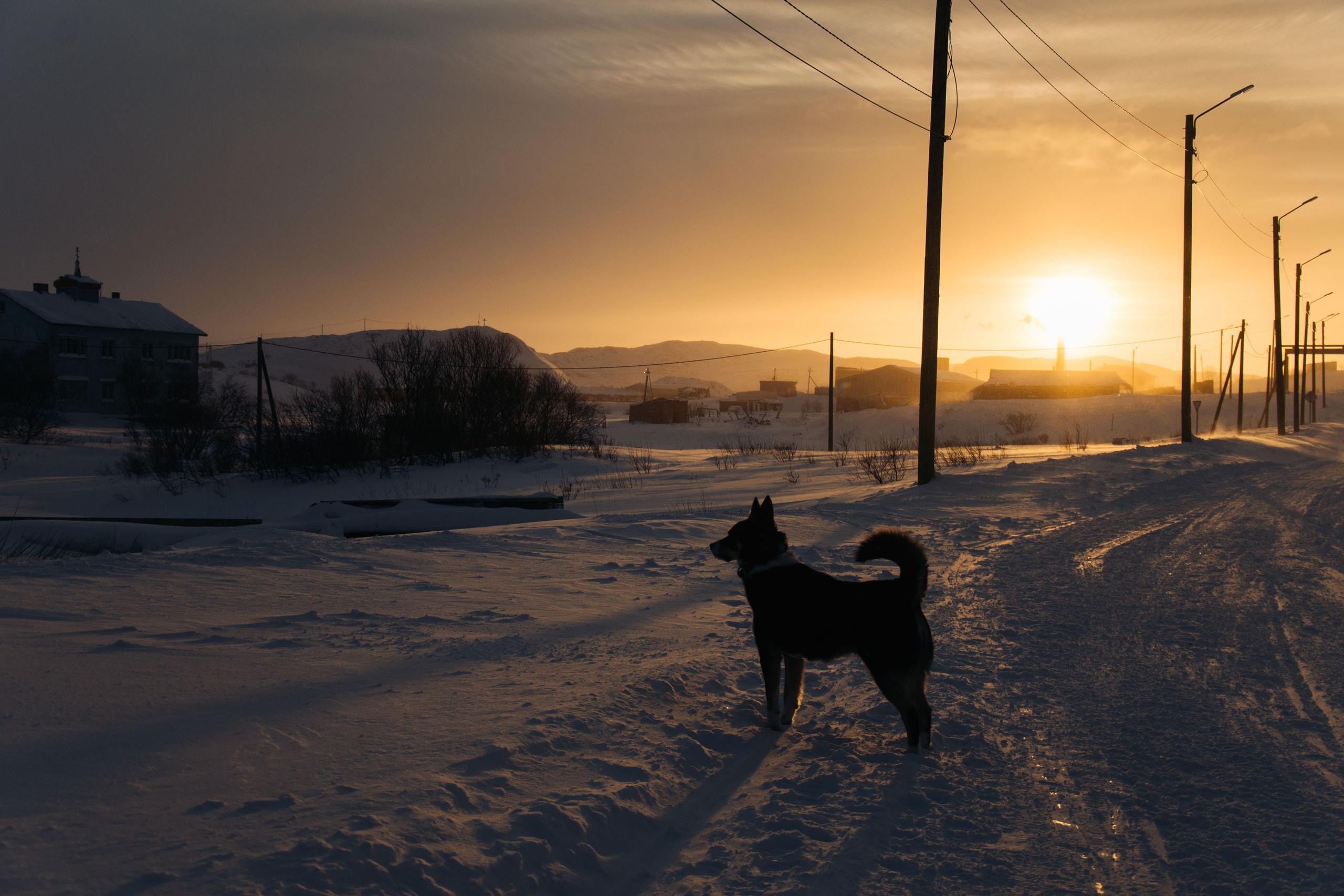 Мурманск, Териберка. Главная