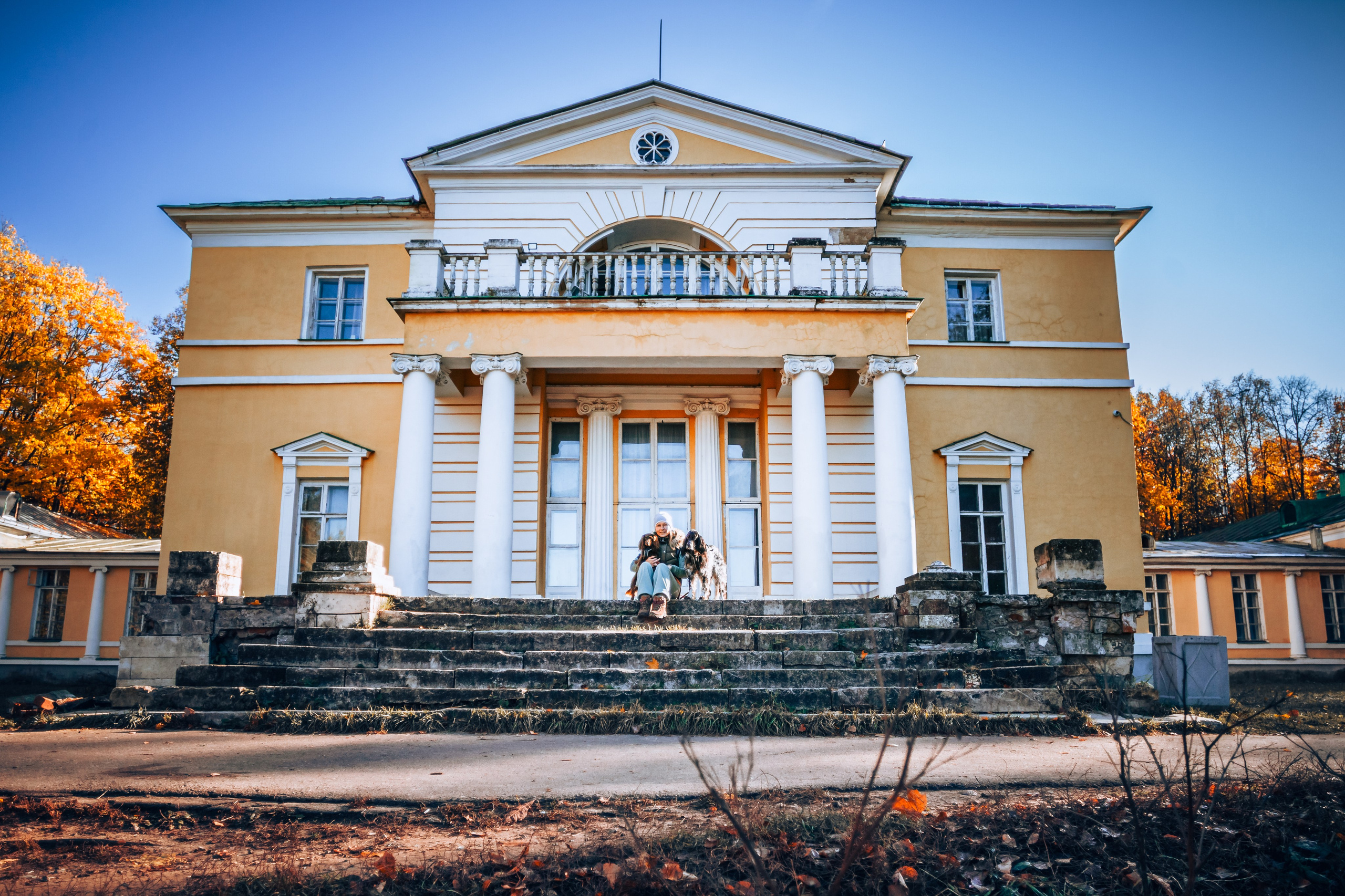 Света, Хайди, Богдана. Фотограф-анималист Татьяна Степанова