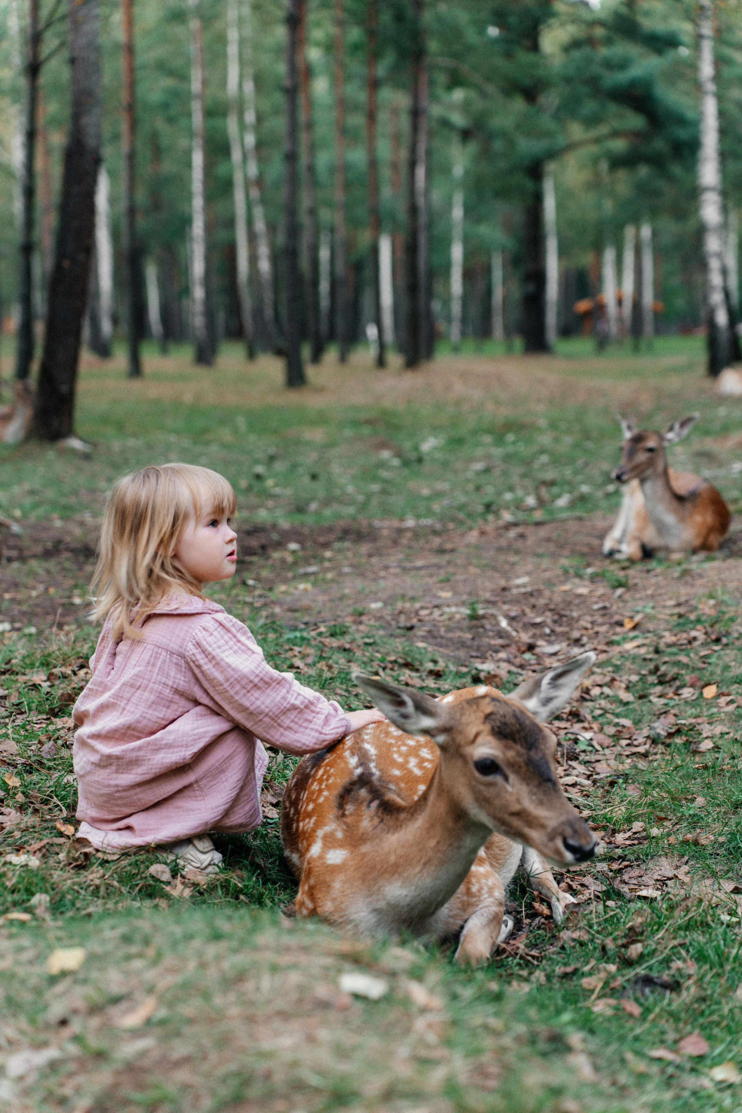 Диприз — в мире диких животных. Ваш семейный фотограф в Минске — Вика Трегубова