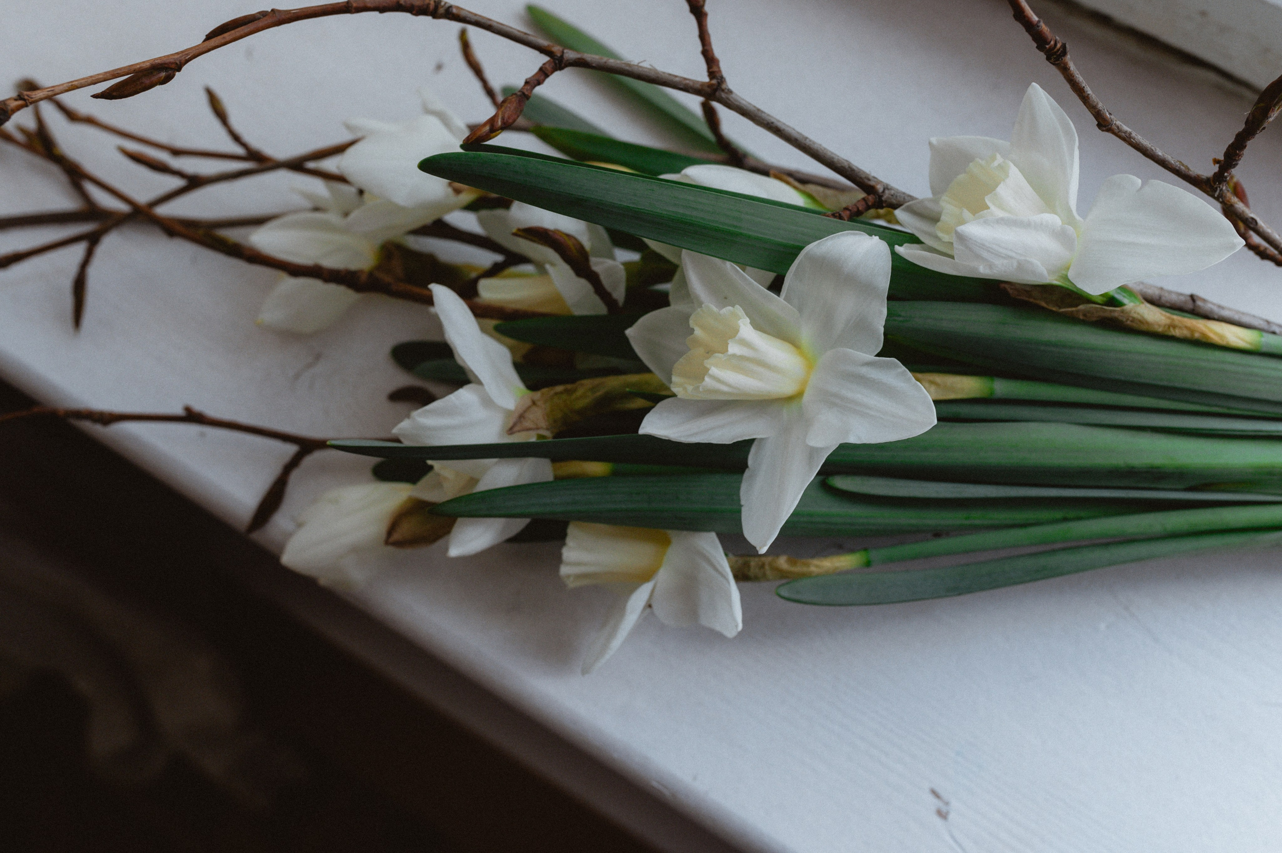Эрнест & Аня. Оформление свадеб, декор свадеб Вера Маркова, Москва