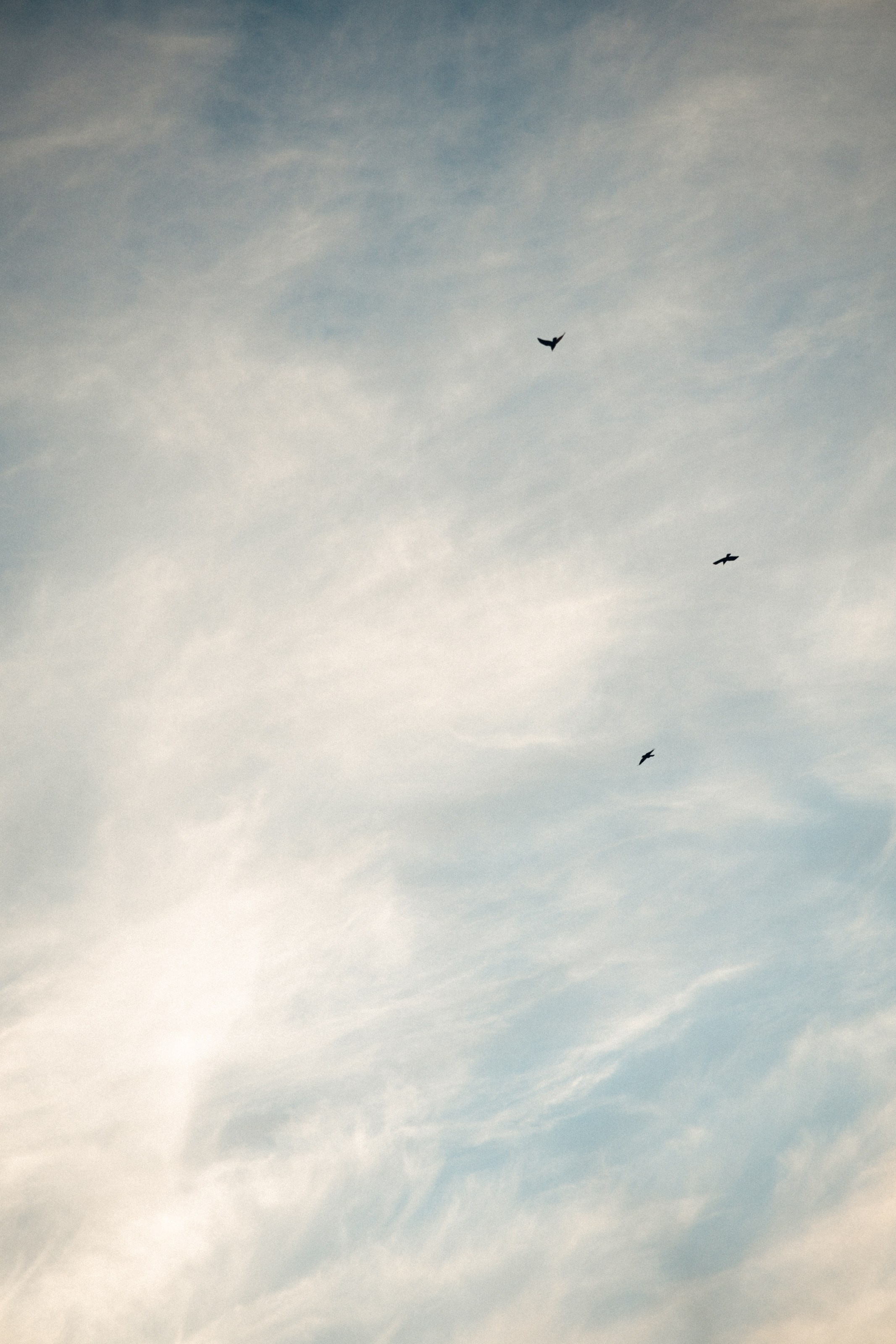 Артем и Татьяна. Свадебный фотограф в Ростове — на — Дону Александра Пивоварова