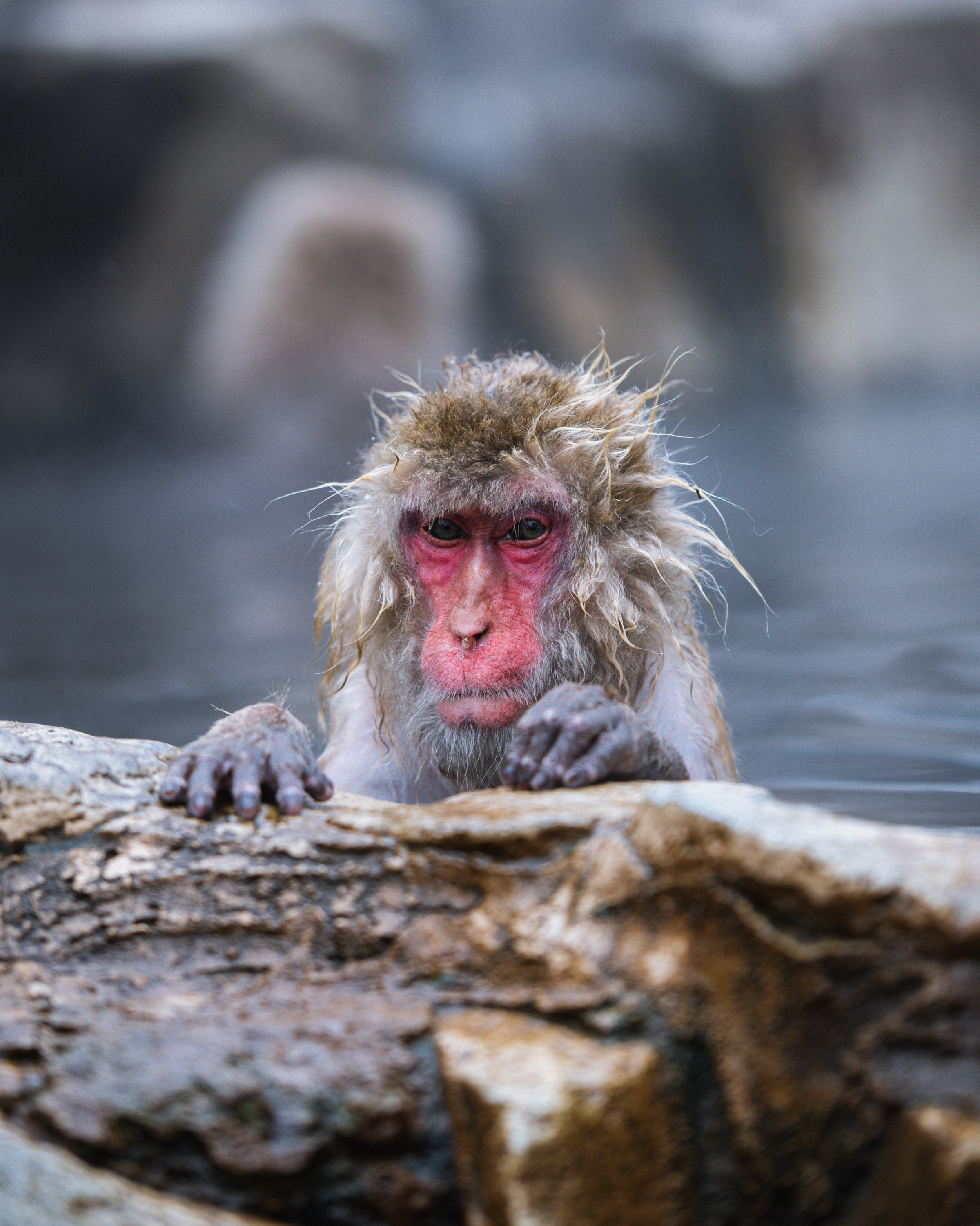 Japan. Photographer in Tokyo Anatolii Ozarto
