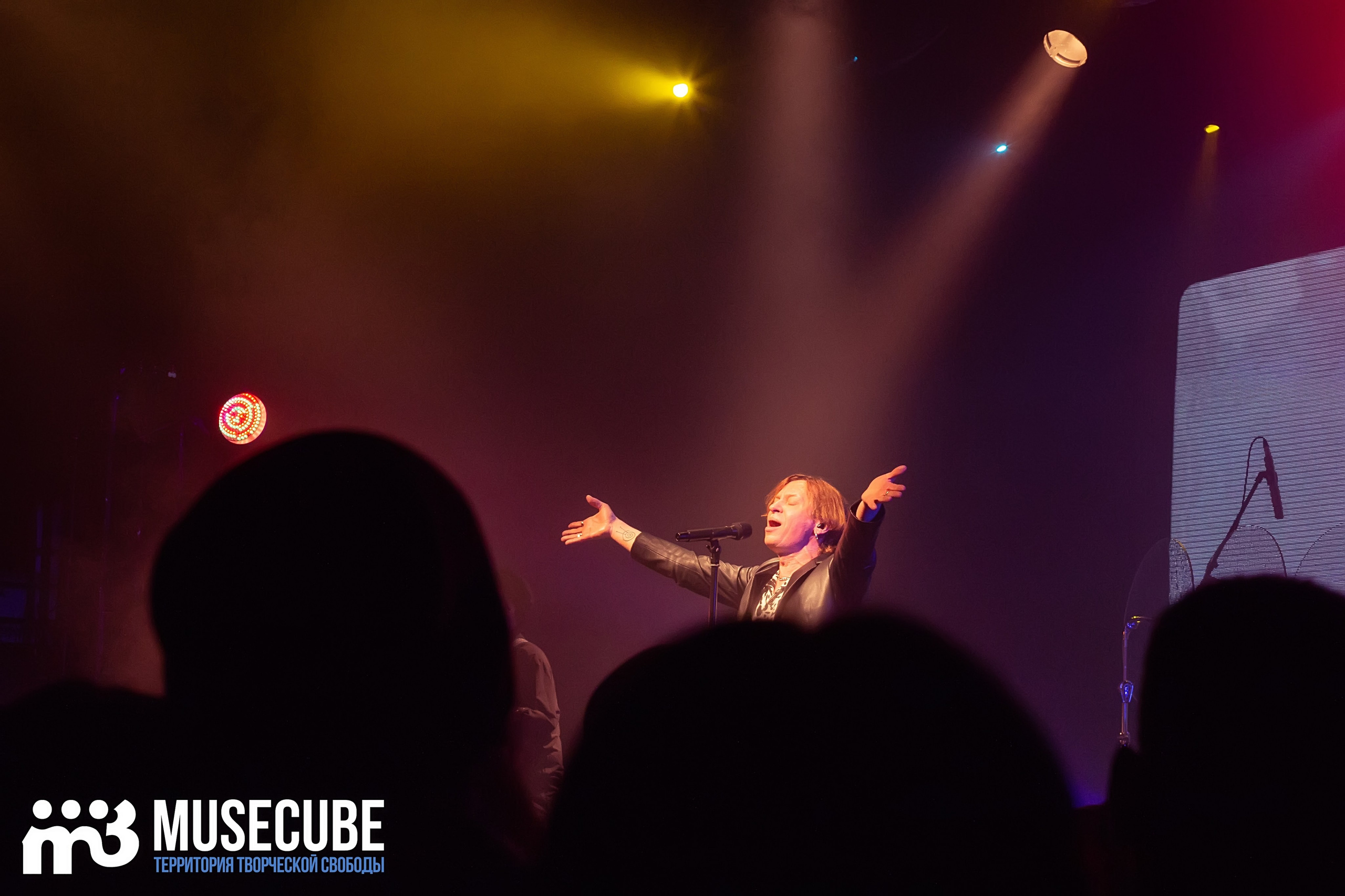 Фотосъемка концерта Найк Борзов Космонавт СПБ. Портретные фотосессии, контент-съемки, репортаж