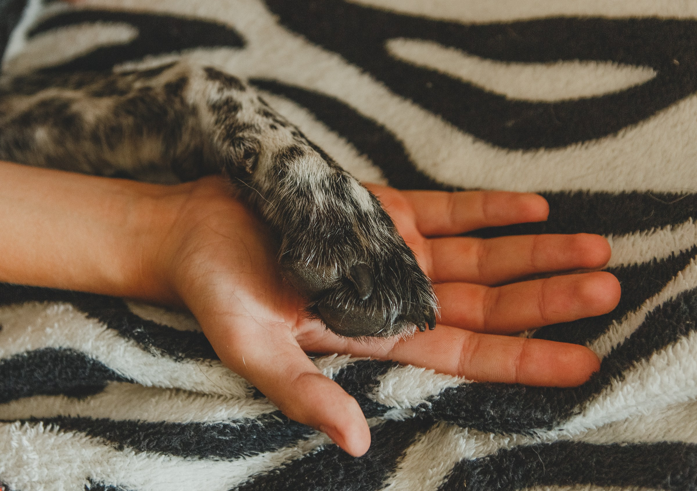 Аршиновы. Семейный и портретный фотограф в Санкт-Петербурге