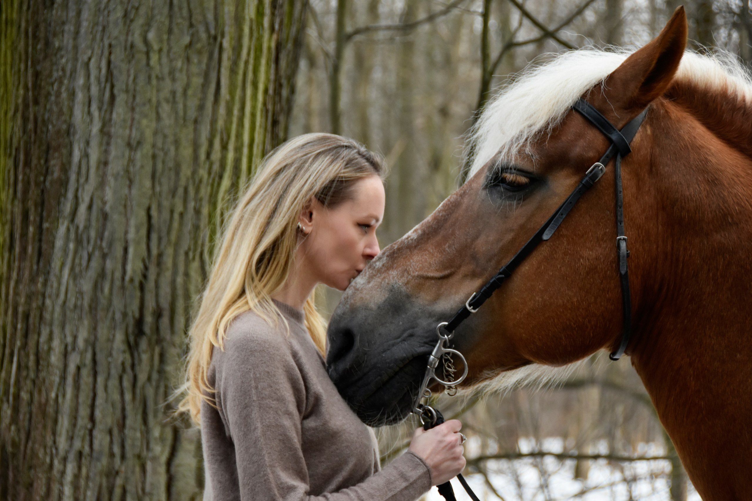 Юля и Проспект. Конный фотограф Москва