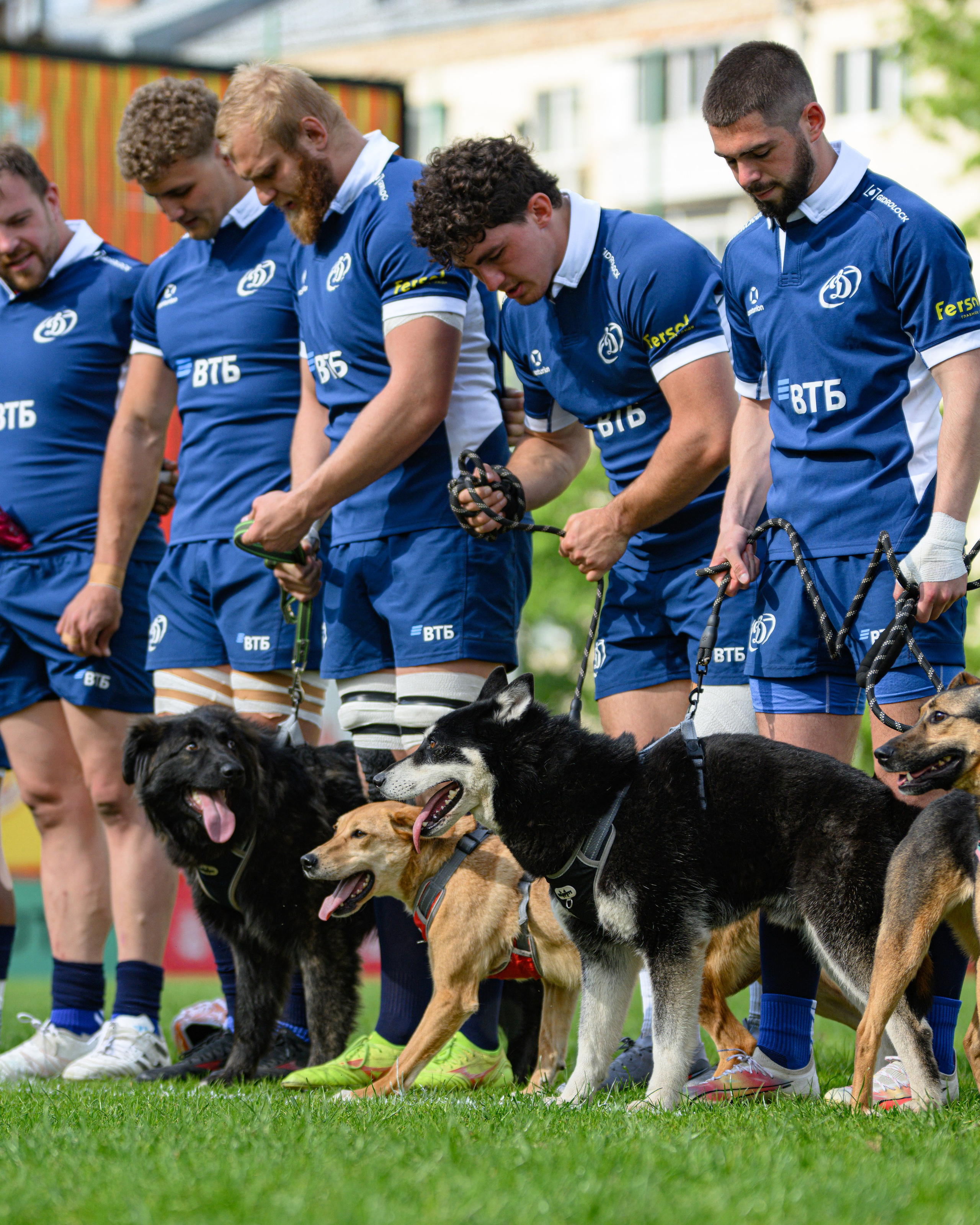 🏉 Слава — Динамо Москва 16.05.2026. Фотограф Александр Махоткин