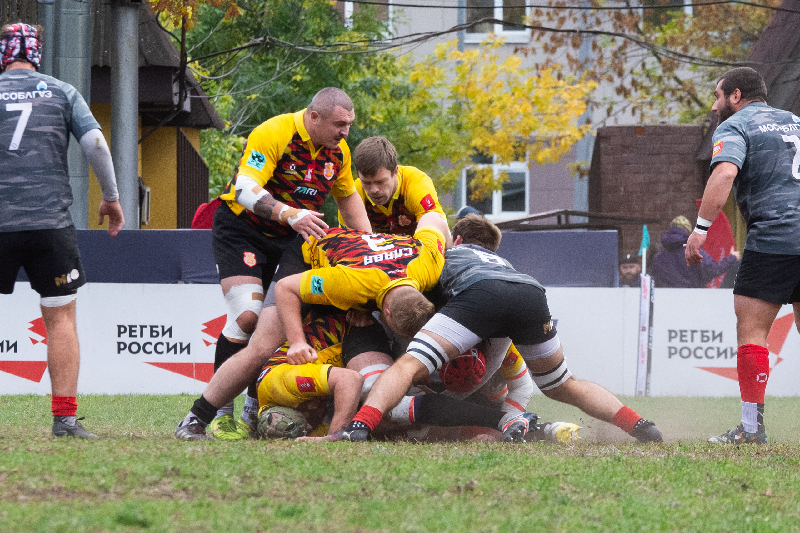 🏉 Слава — ВВА Подмосковье 04.10.2026. Фотограф Александр Махоткин