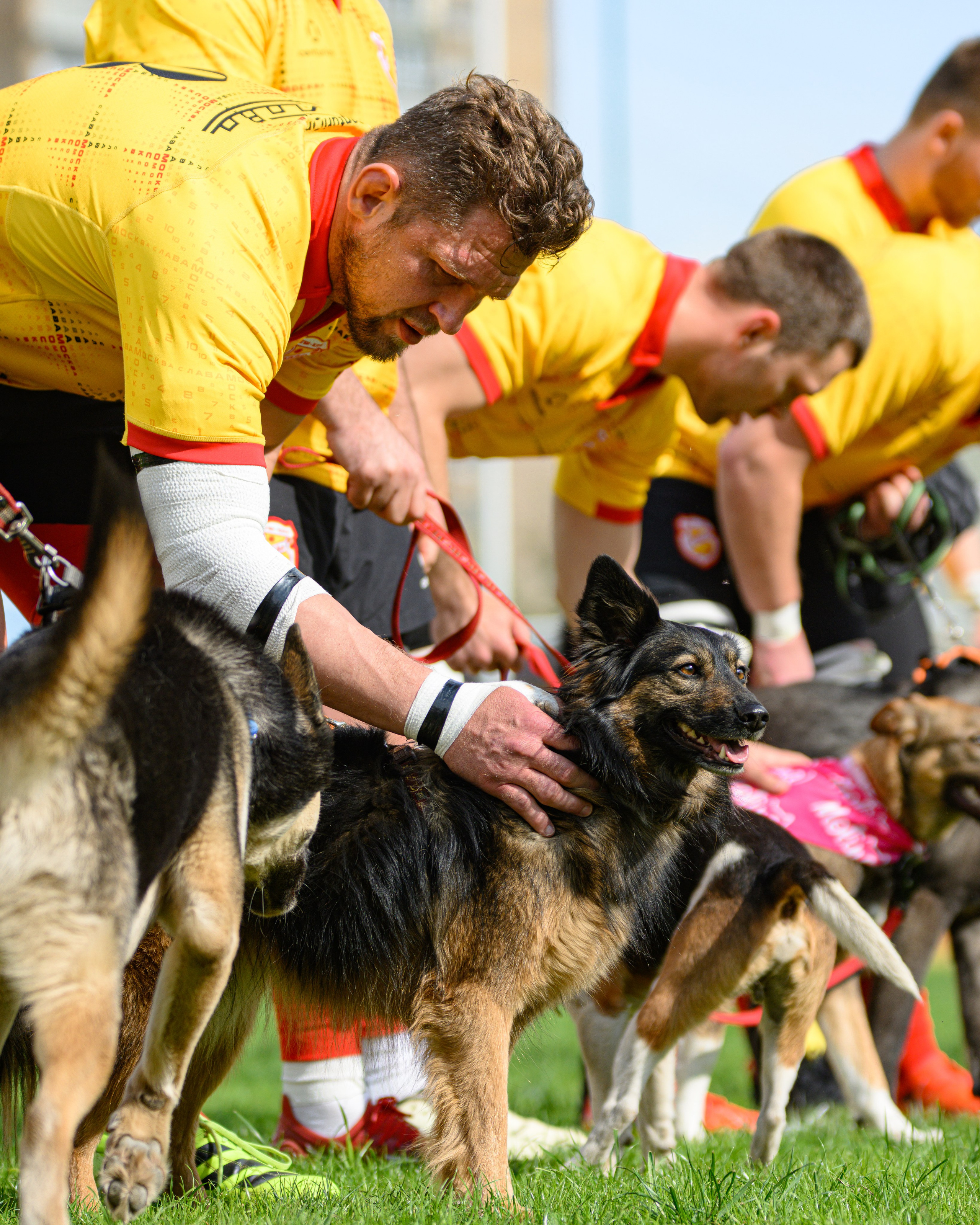 🏉 Слава — Динамо Москва 16.05.2026. Фотограф Александр Махоткин