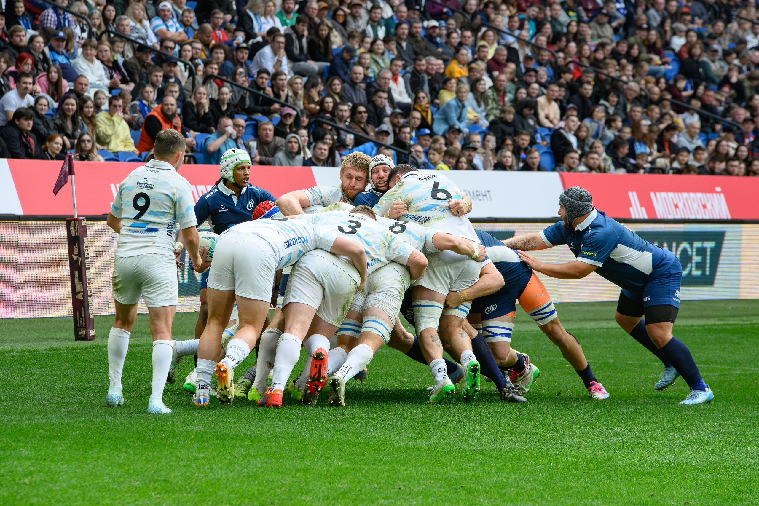 🏉🏆 Кубок России — 2026. Финал. Динамо Москва — Енисей-СТМ 27.09.2026. Фотограф Александр Махоткин