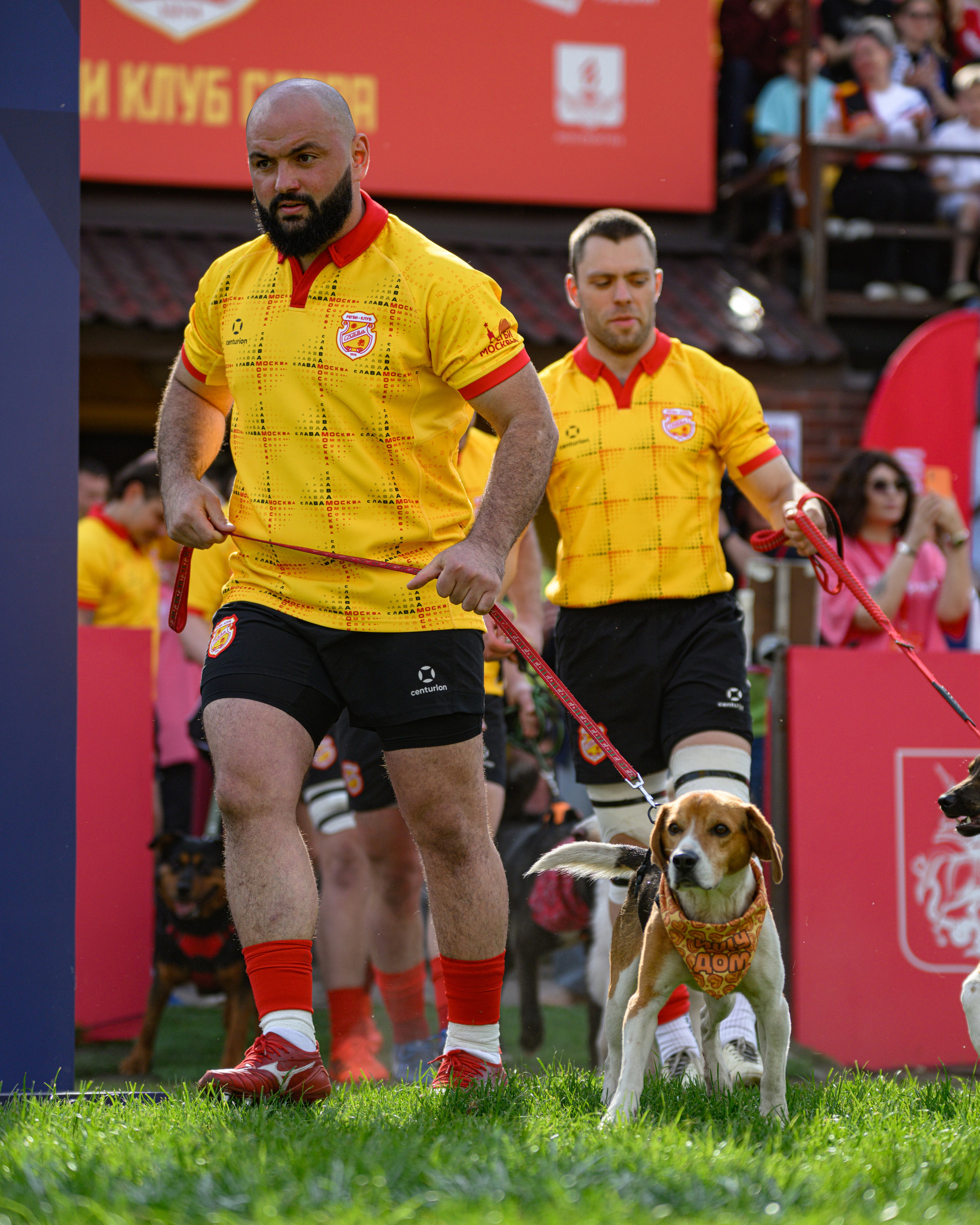 🏉 Слава — Динамо Москва 16.05.2026. Фотограф Александр Махоткин