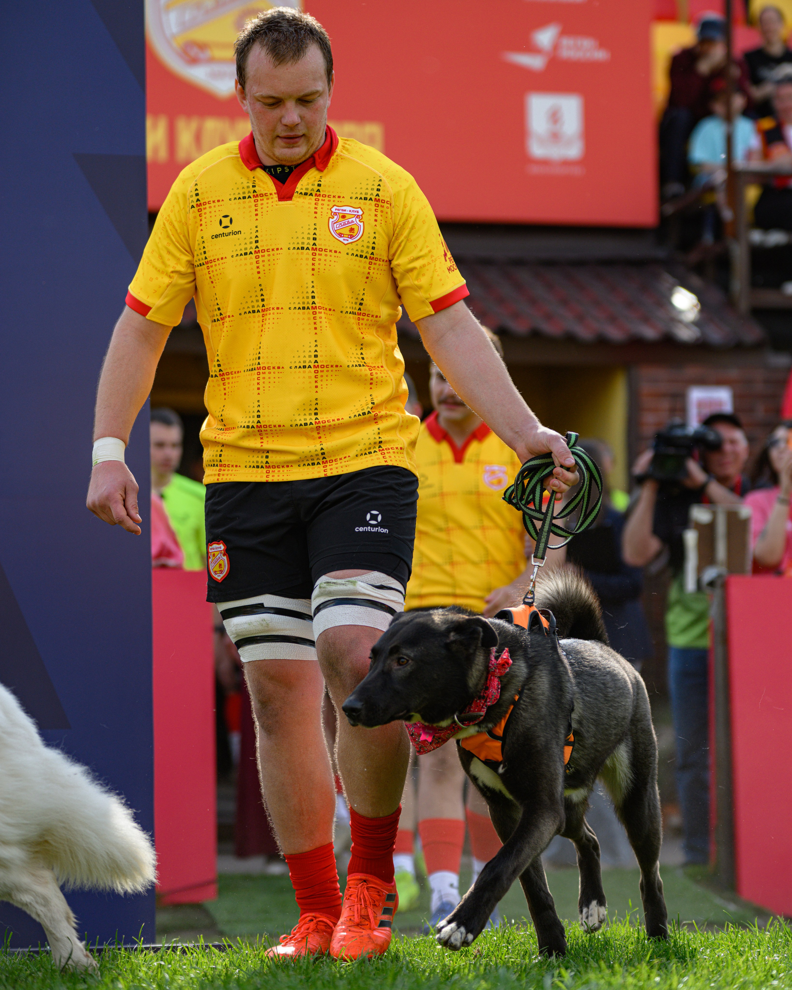 🏉 Слава — Динамо Москва 16.05.2026. Фотограф Александр Махоткин