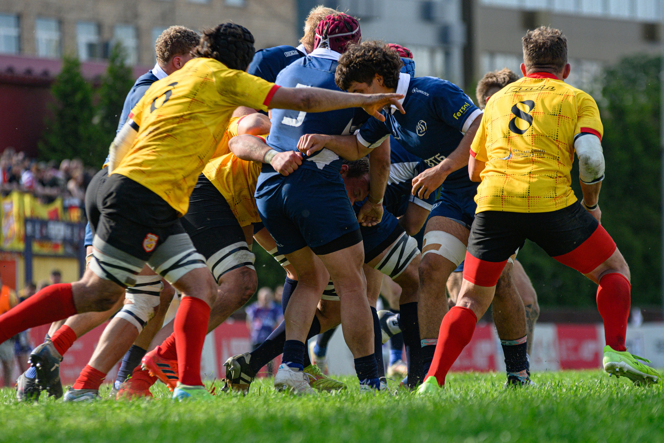 🏉 Слава — Динамо Москва 16.05.2026. Фотограф Александр Махоткин