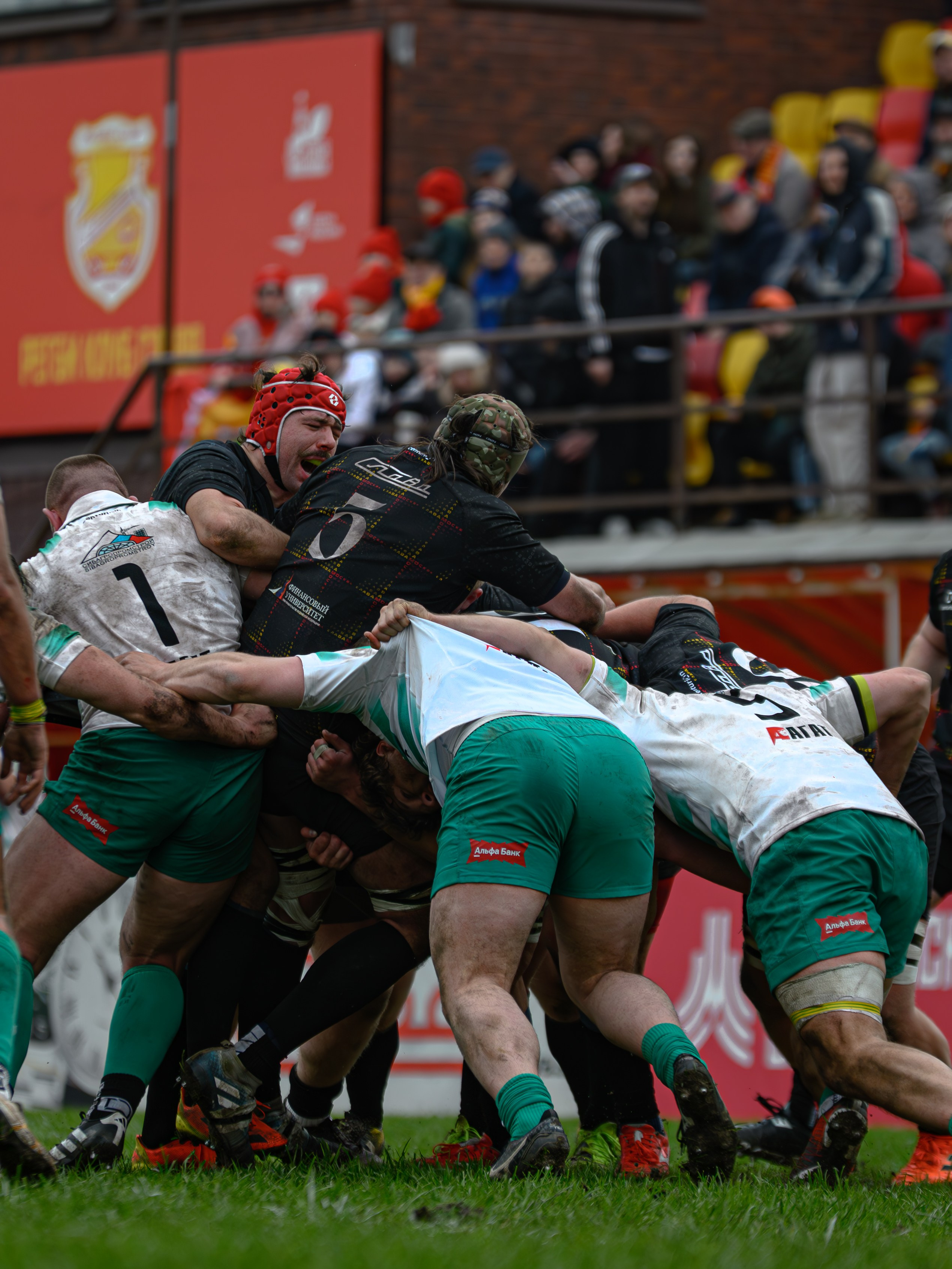 🏉 Слава — Красный Яр 01.05.2026. Фотограф Александр Махоткин