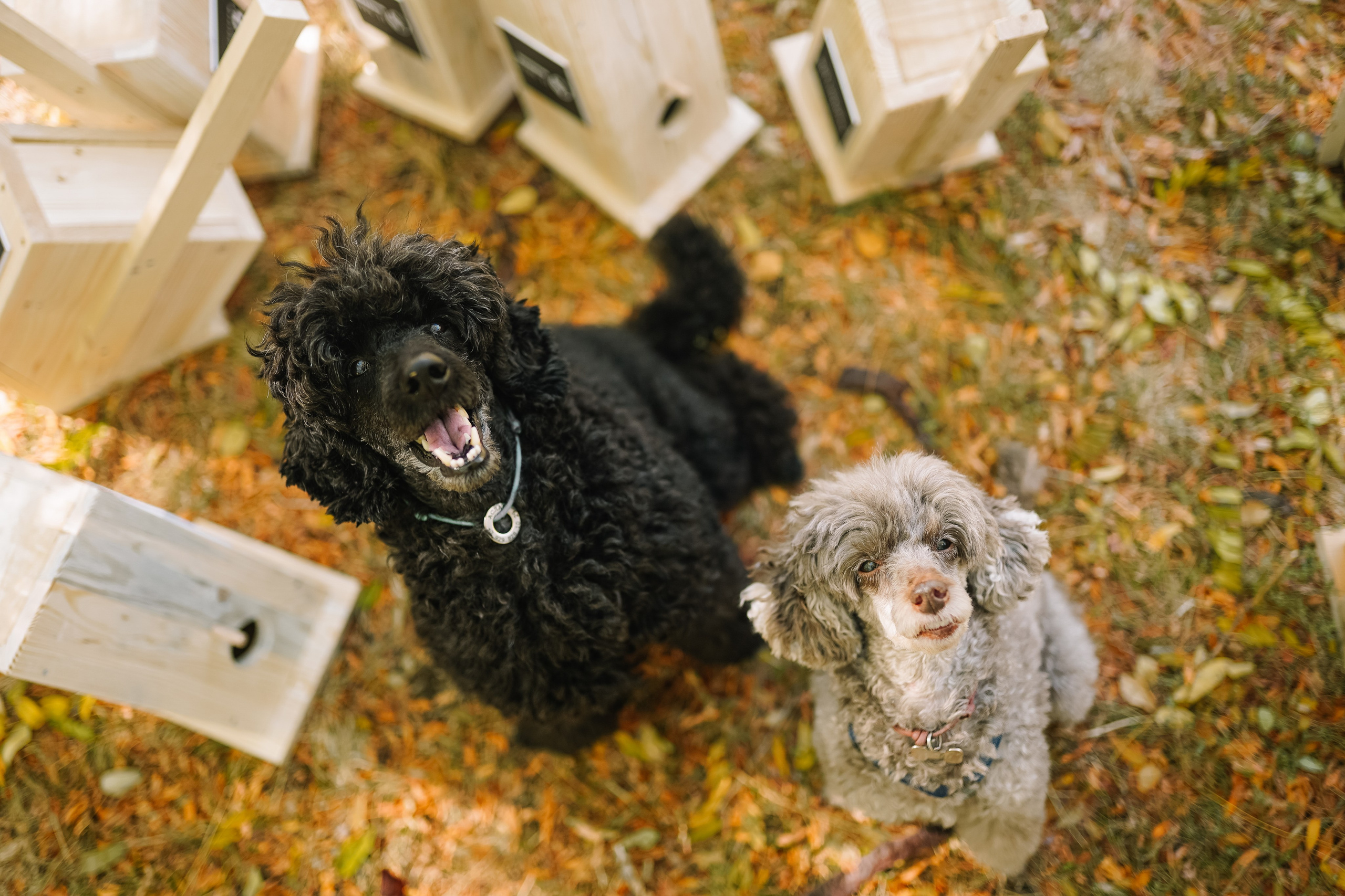 Проект «Добрые дела». Фотограф с психологическим образованием