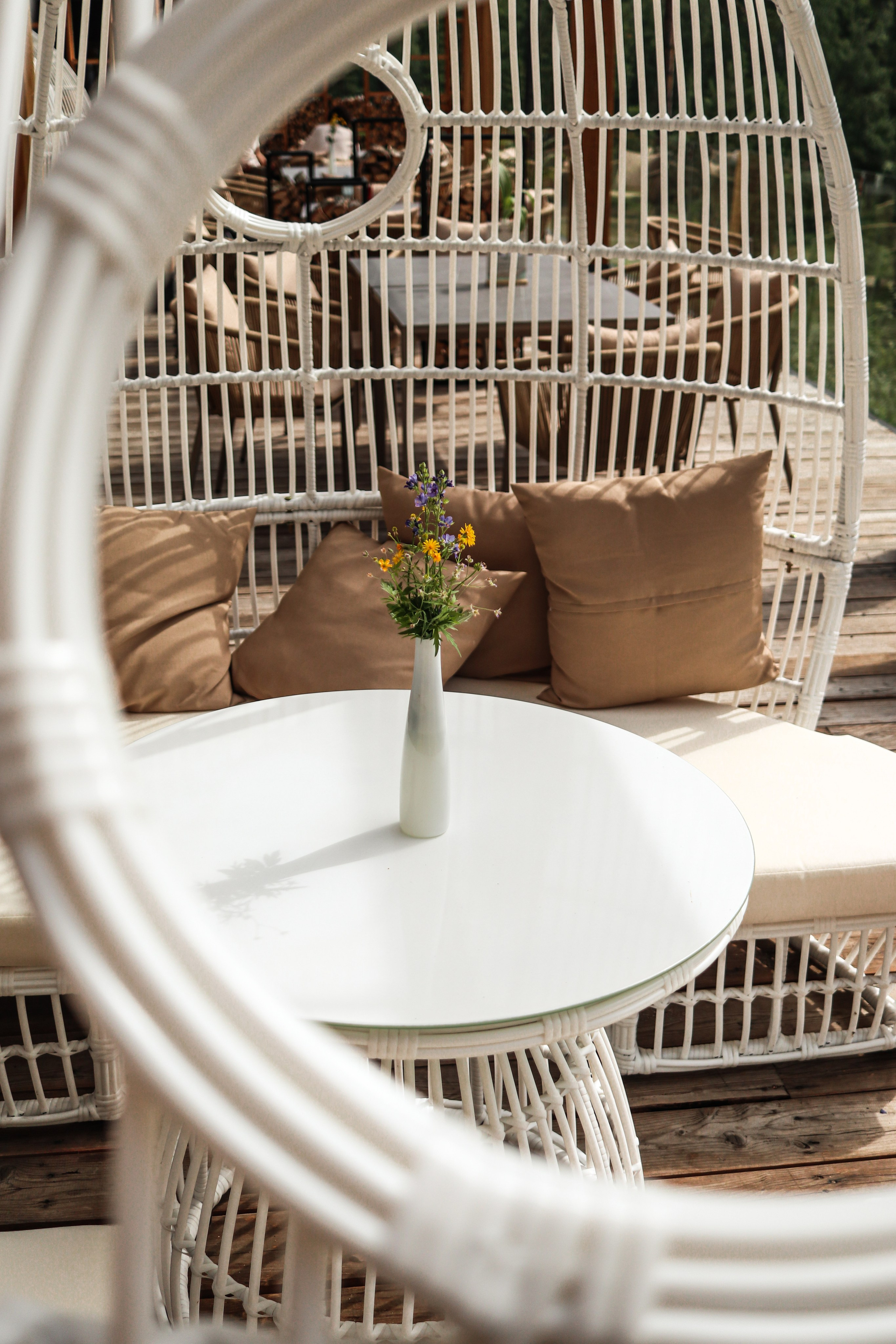 «Pinewood» парк-отель, респ. Алтай. Контент фотограф Дмитрий Борисов