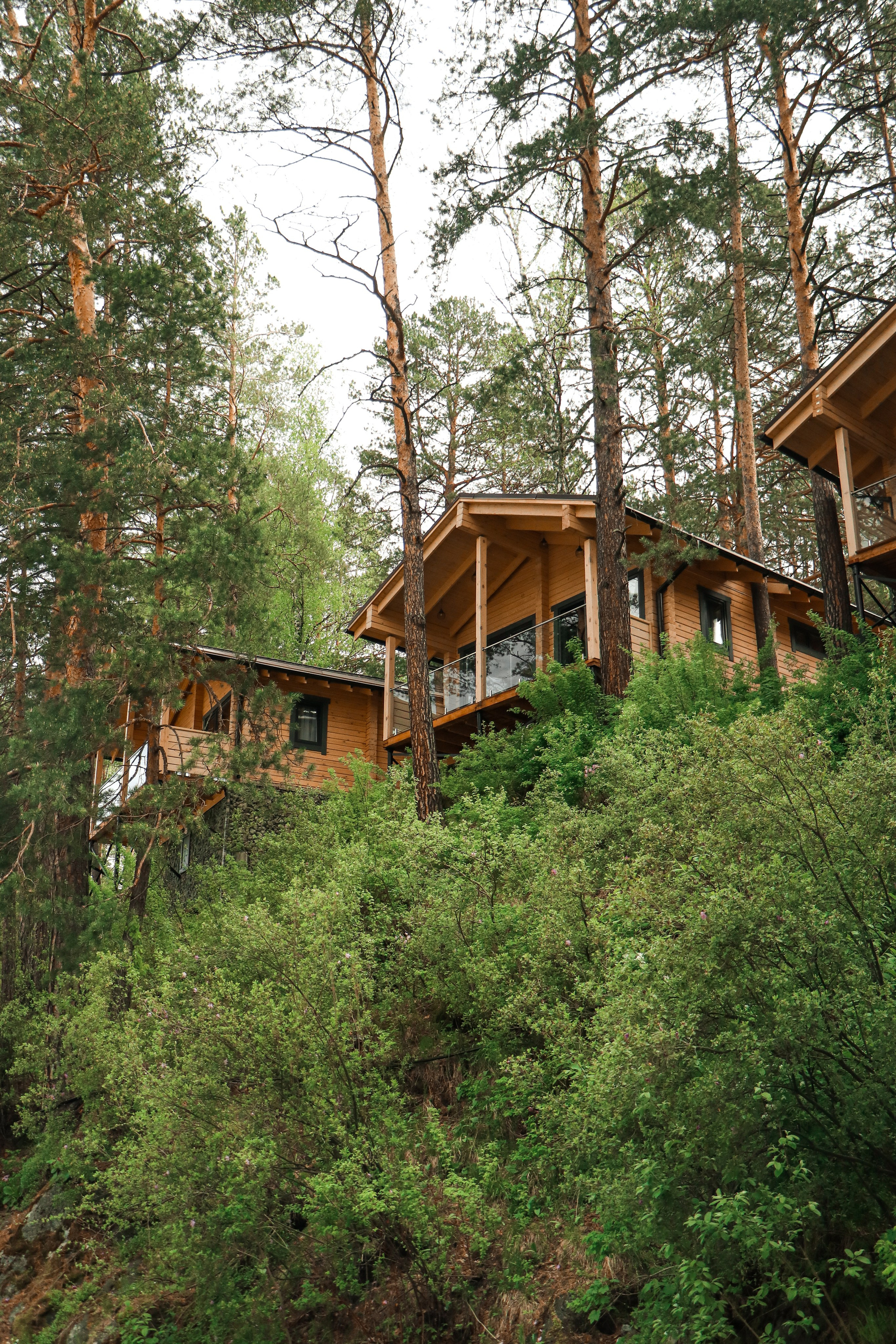 «Ayat River» парк-отель, респ. Алтай. Контент фотограф Дмитрий Борисов