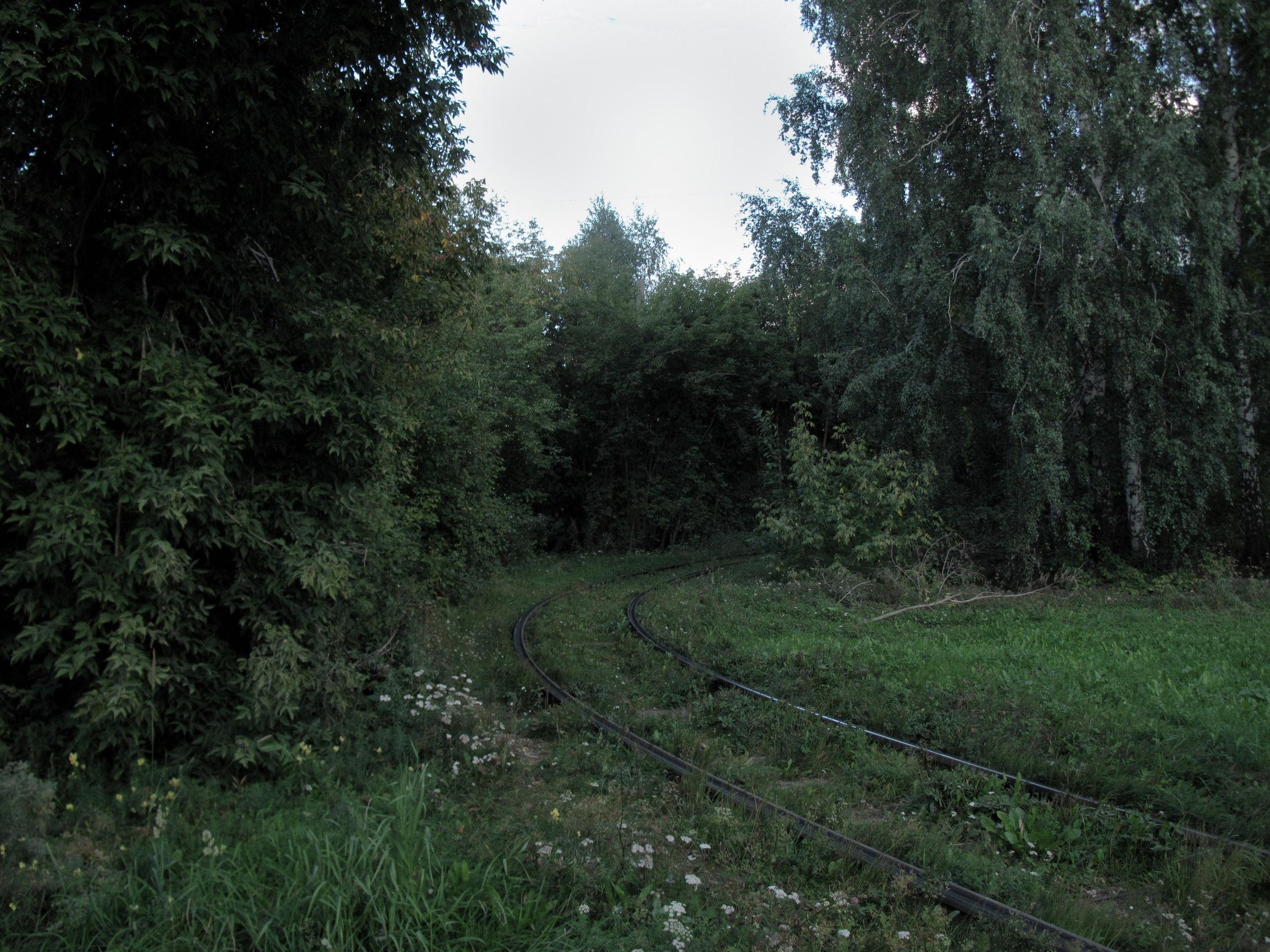 How to be lonely. Breus Sasha photography & art