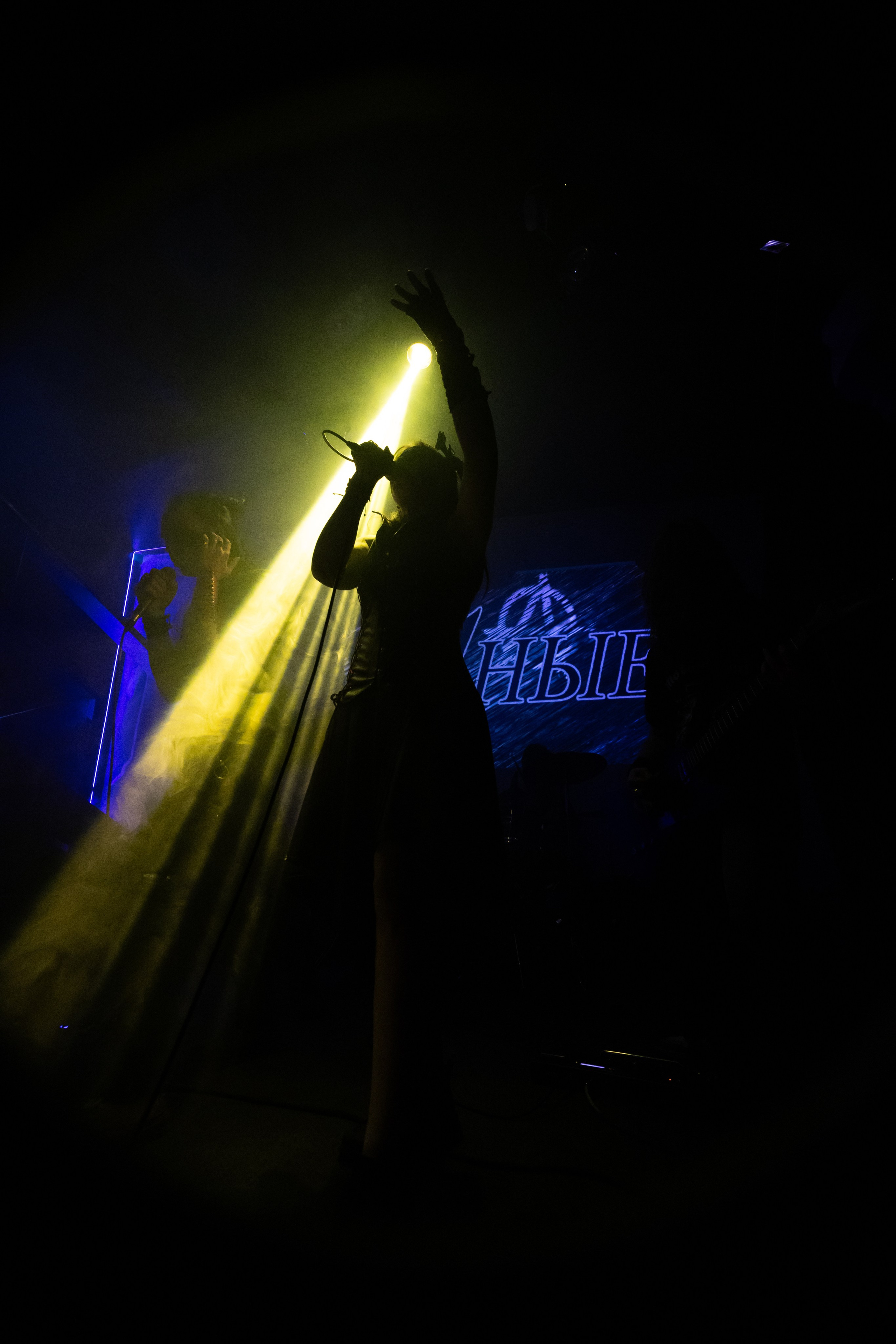 Иные. Rock night, клуб-галерея Эрмитаж. 15.11.2024. Фотограф Регина Крикунова г. Красноярск