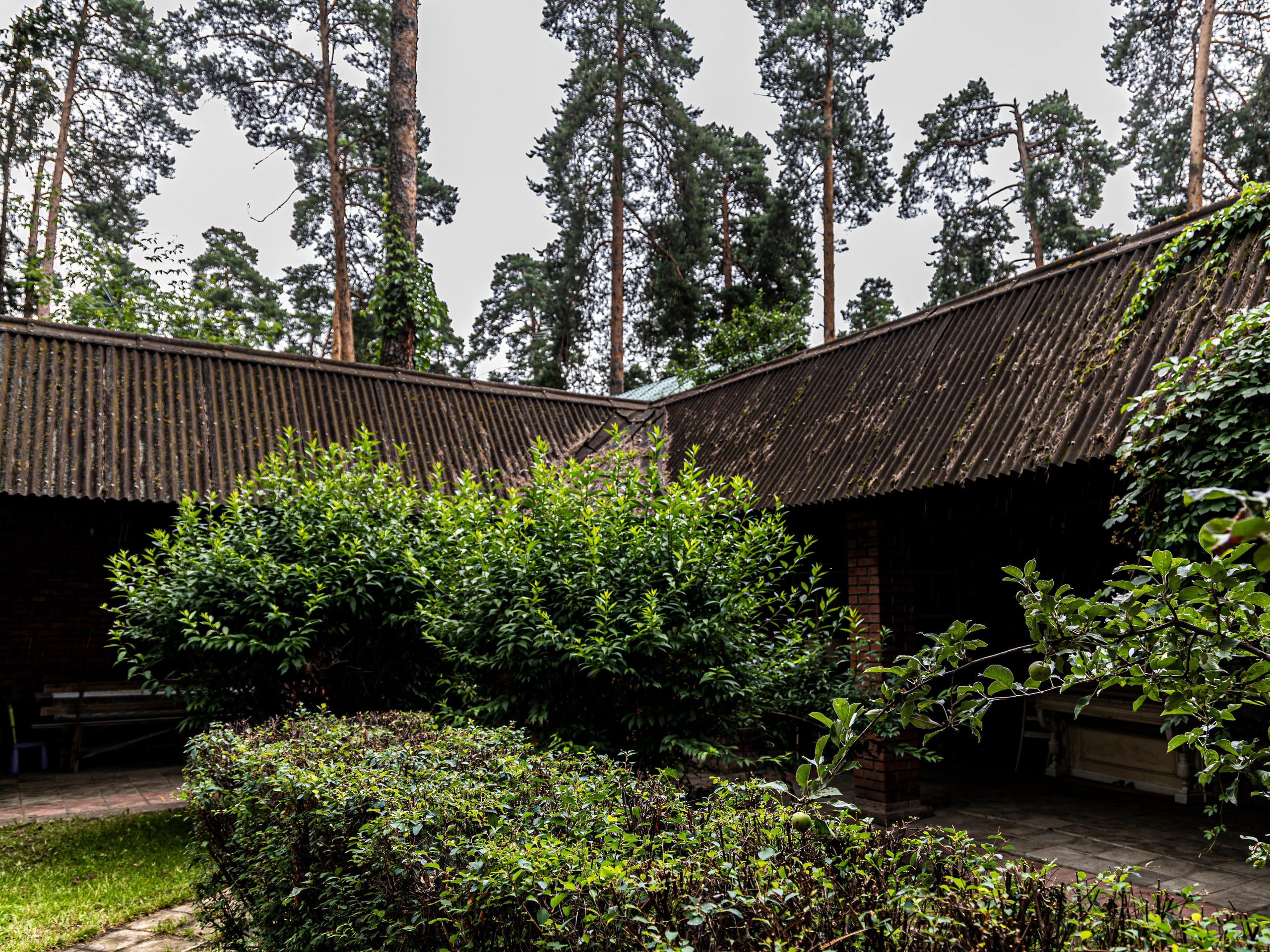 Фотограф Татьяна Марсуверских г. Жуковский, Москва и Мо. Репортажные съёмки, фотосессии. Детский, семейный фотограф. Фотограф для маркетплейсов, фотоуслуги в Жуковском Татьяна Марсуверских