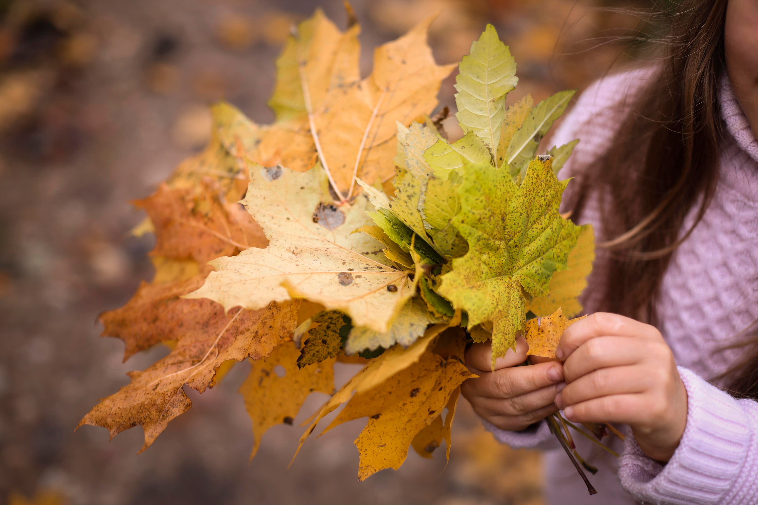 Милана и Лера. Семейный фотограф и фотограф новорожденных в Санкт-Петербурге Алина Фе