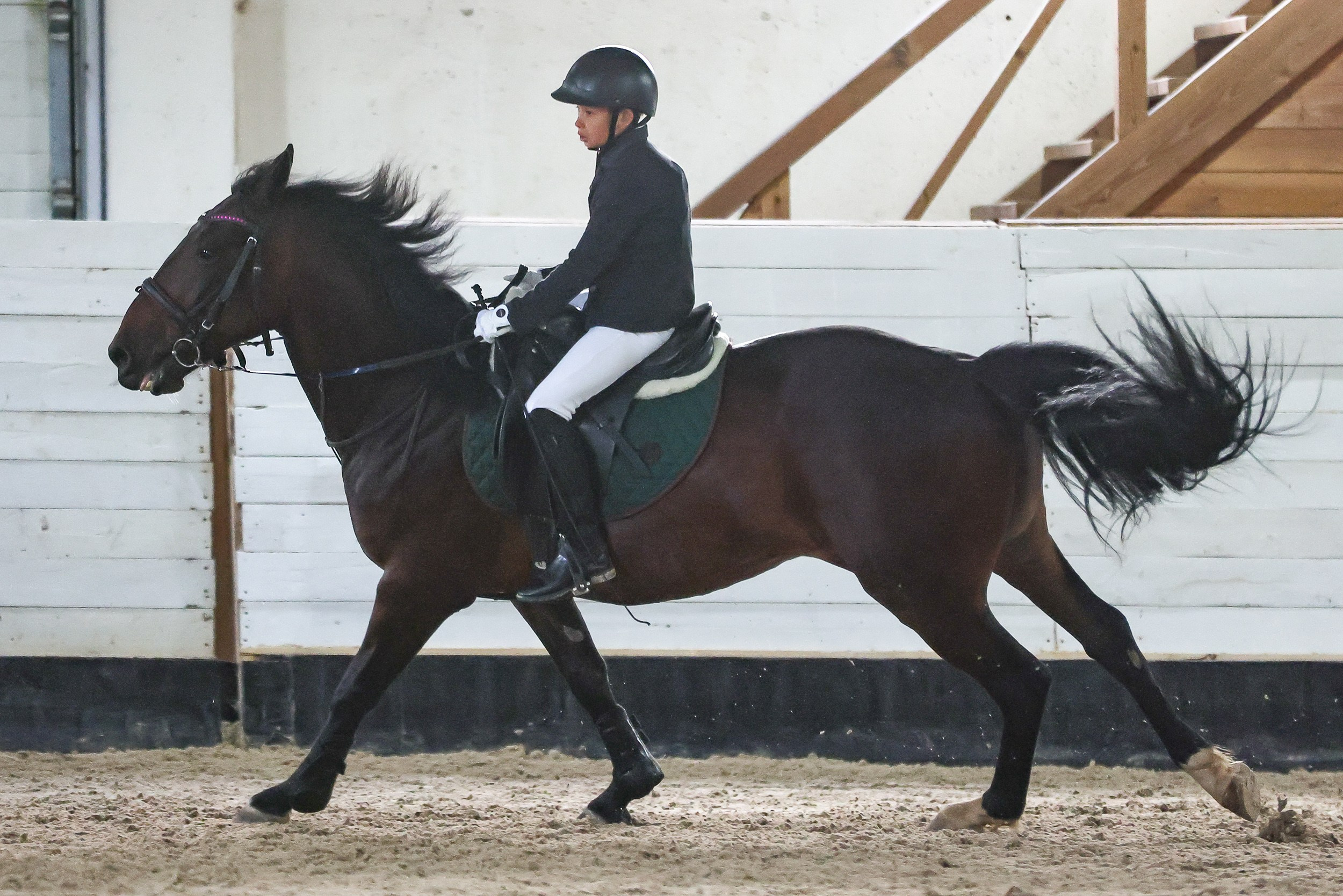 Конный спорт. Спортивный и корпоративный фотограф в Москве Олег Беспалов