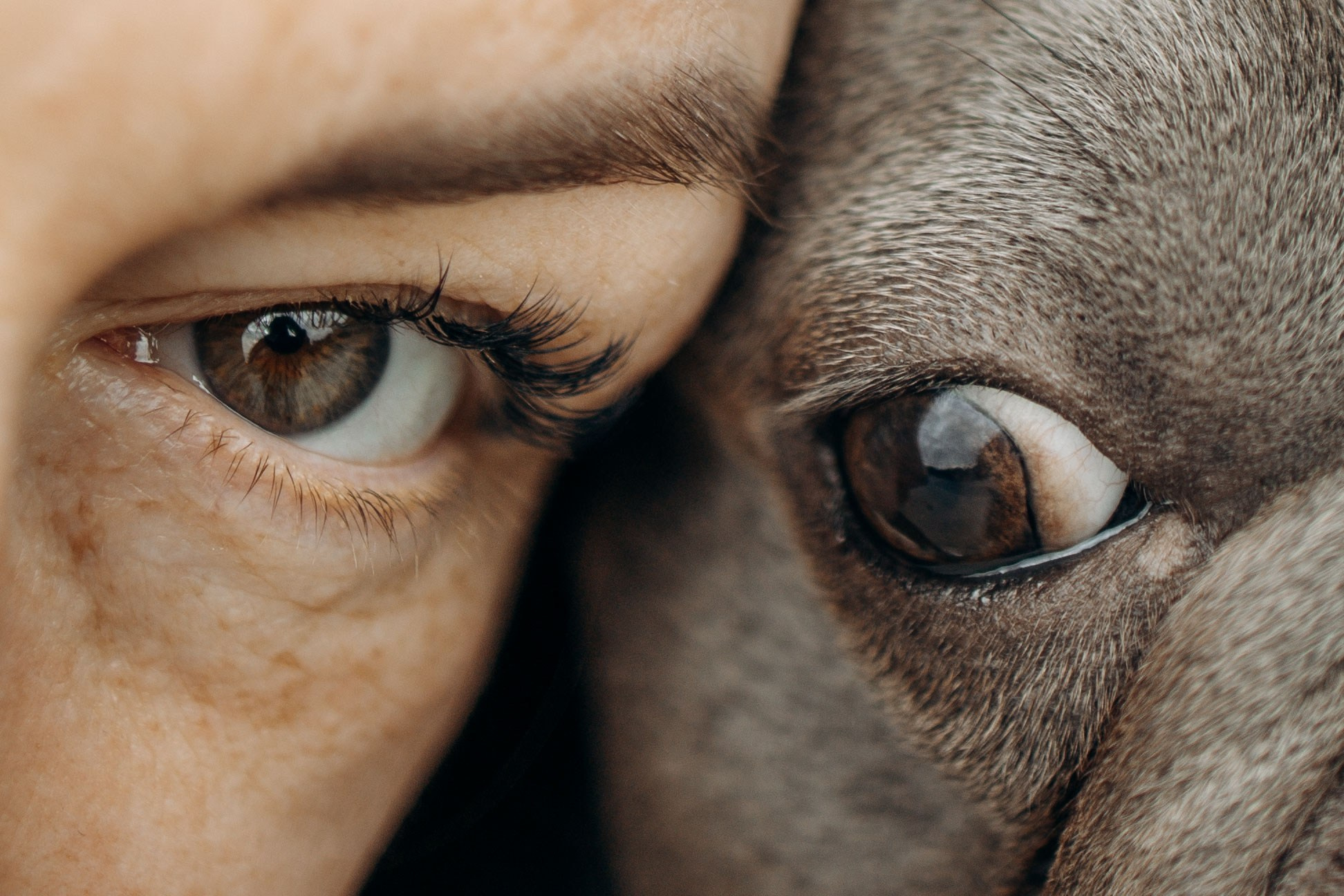 Грей и его семья