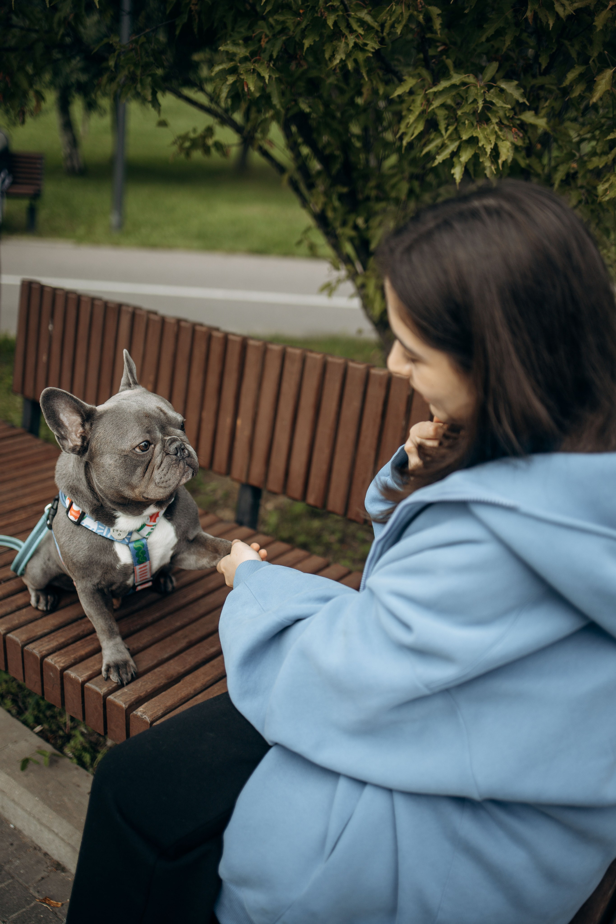 Грей и его семья