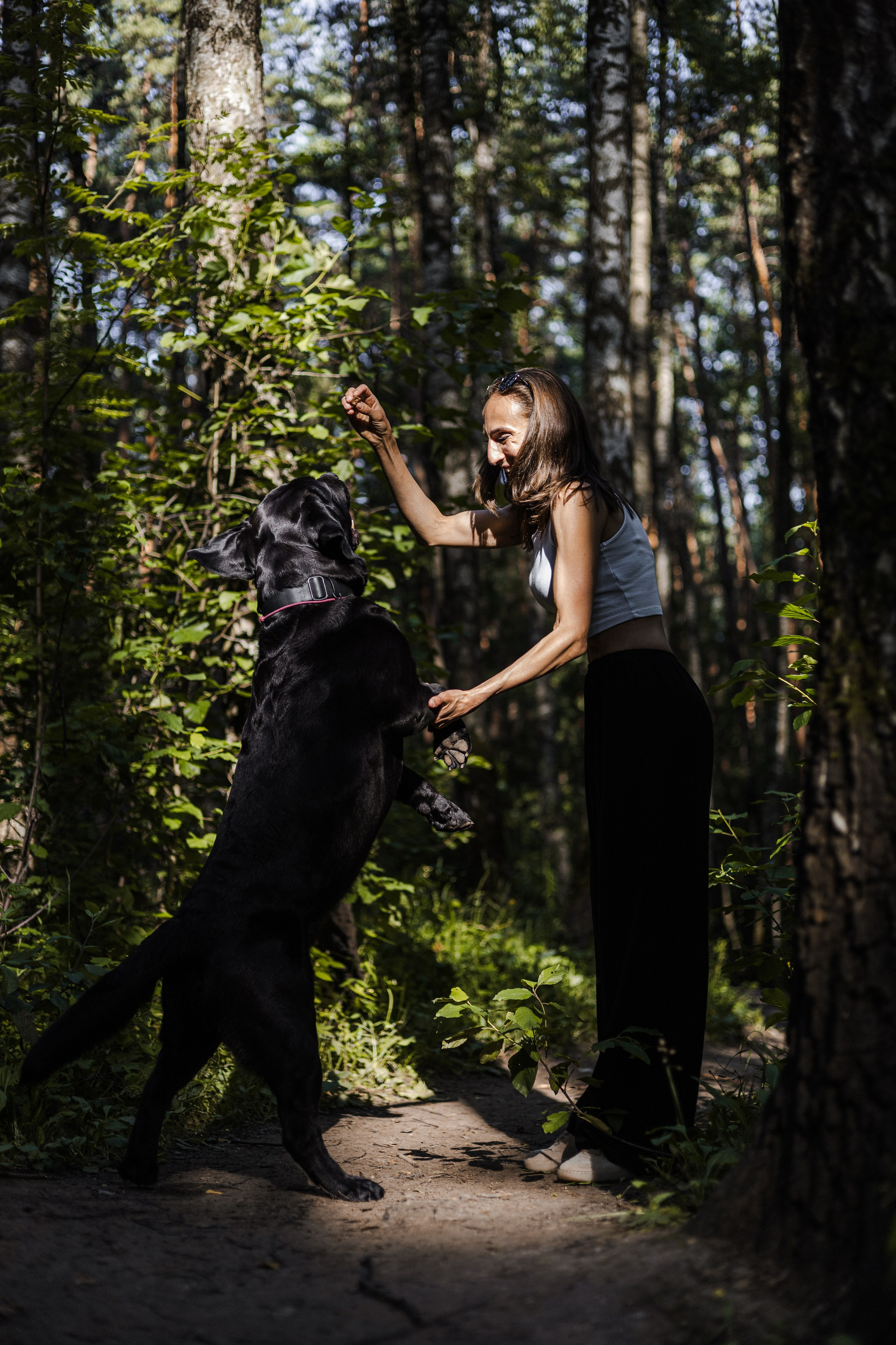 Найт и Соня. Фотограф-анималист Ксения Шевцова|Москва