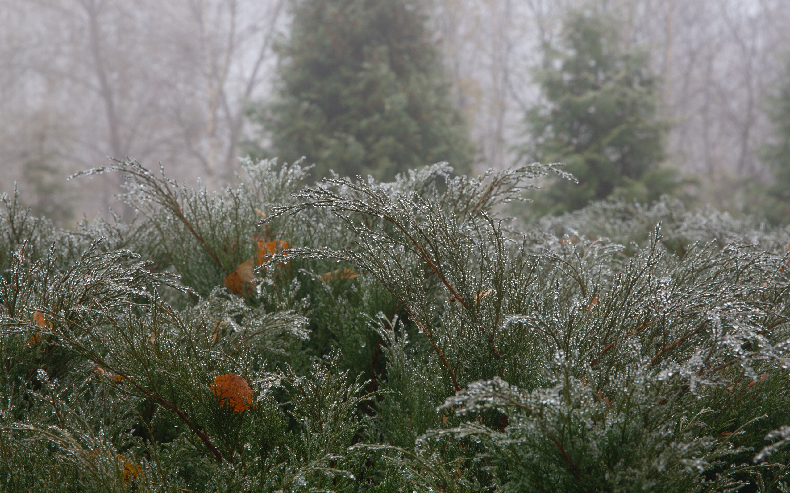 Тобольск. Мой фотомир