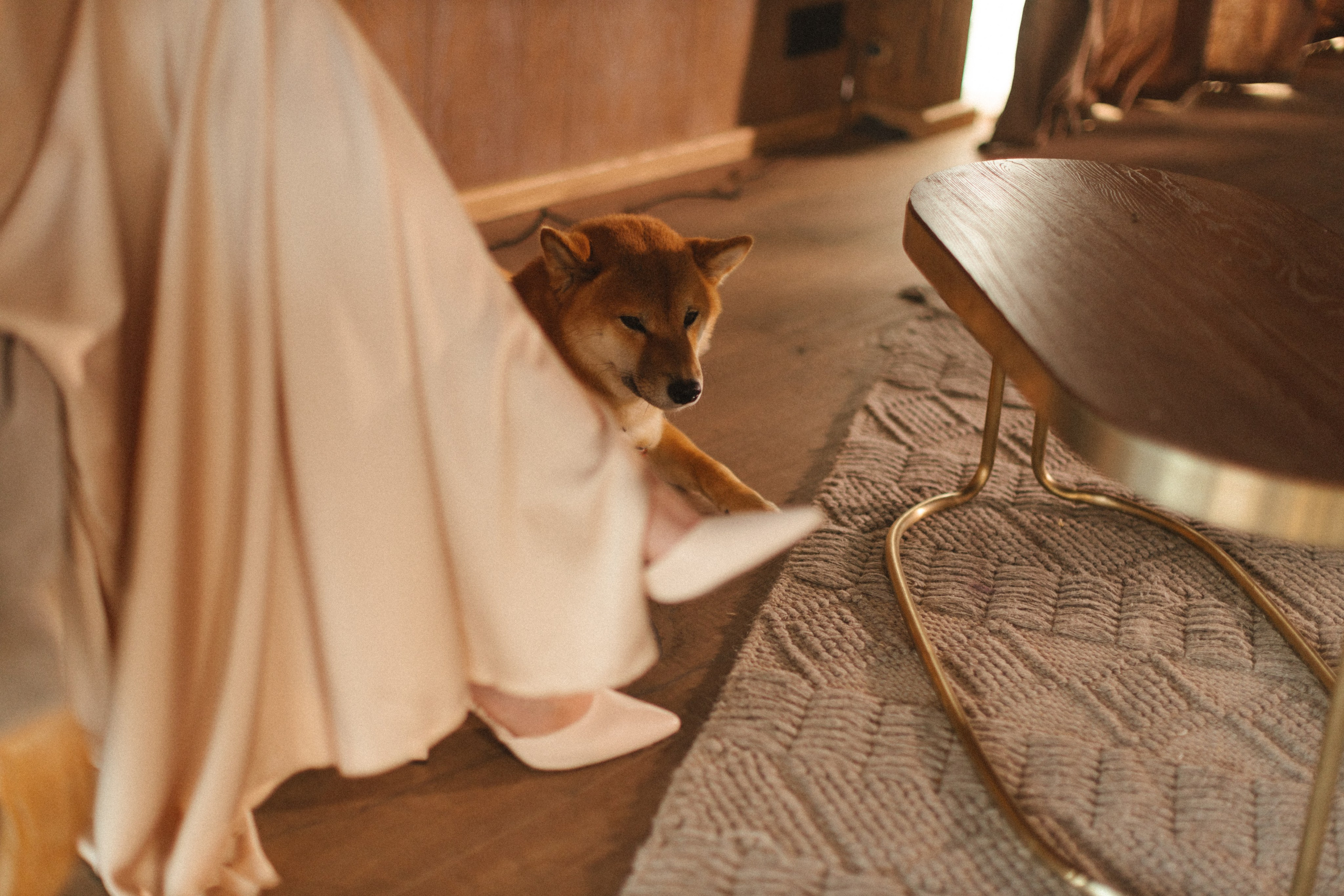 Я очень…. Свадебный и семейный фотограф в Самаре и Москве