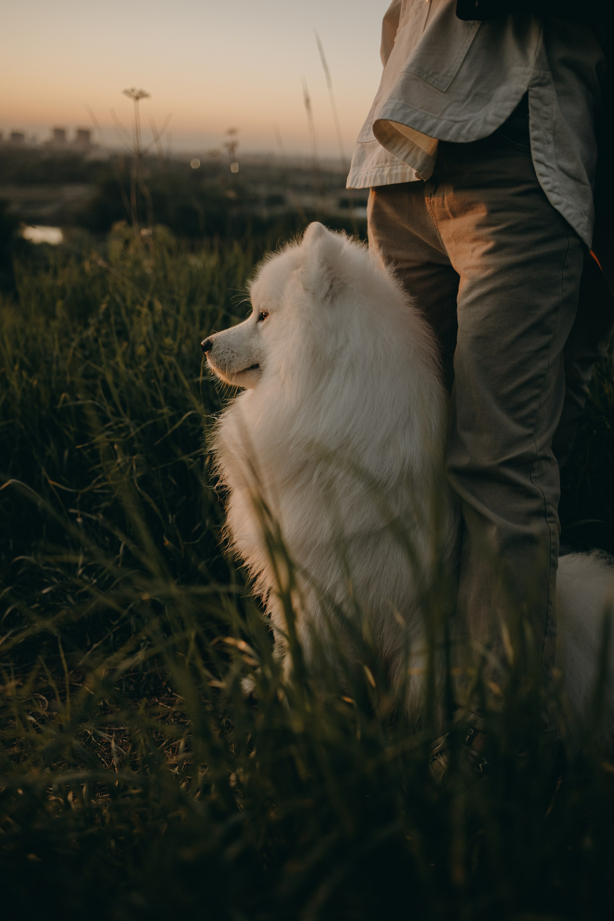 Танго и его семья. Фотограф — Анималист | Санкт-Петербург