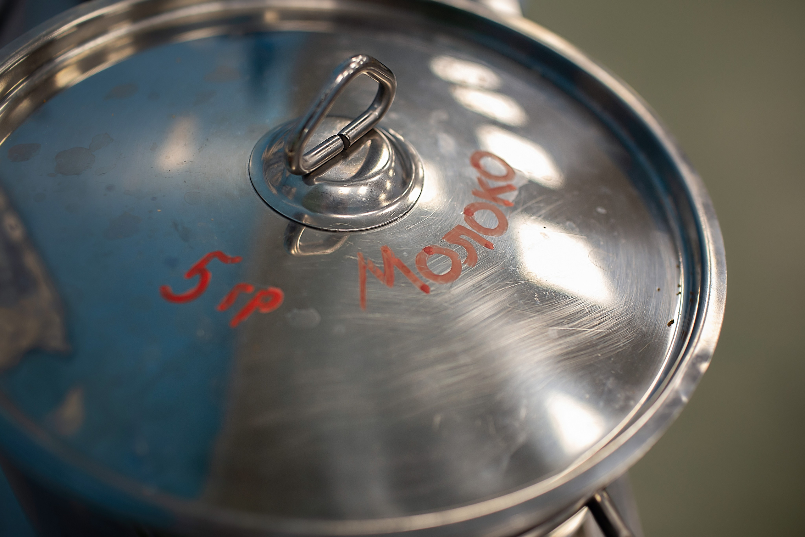 День в саду_Зима_2023 год. Семейный фотограф в Санкт-Петербурге