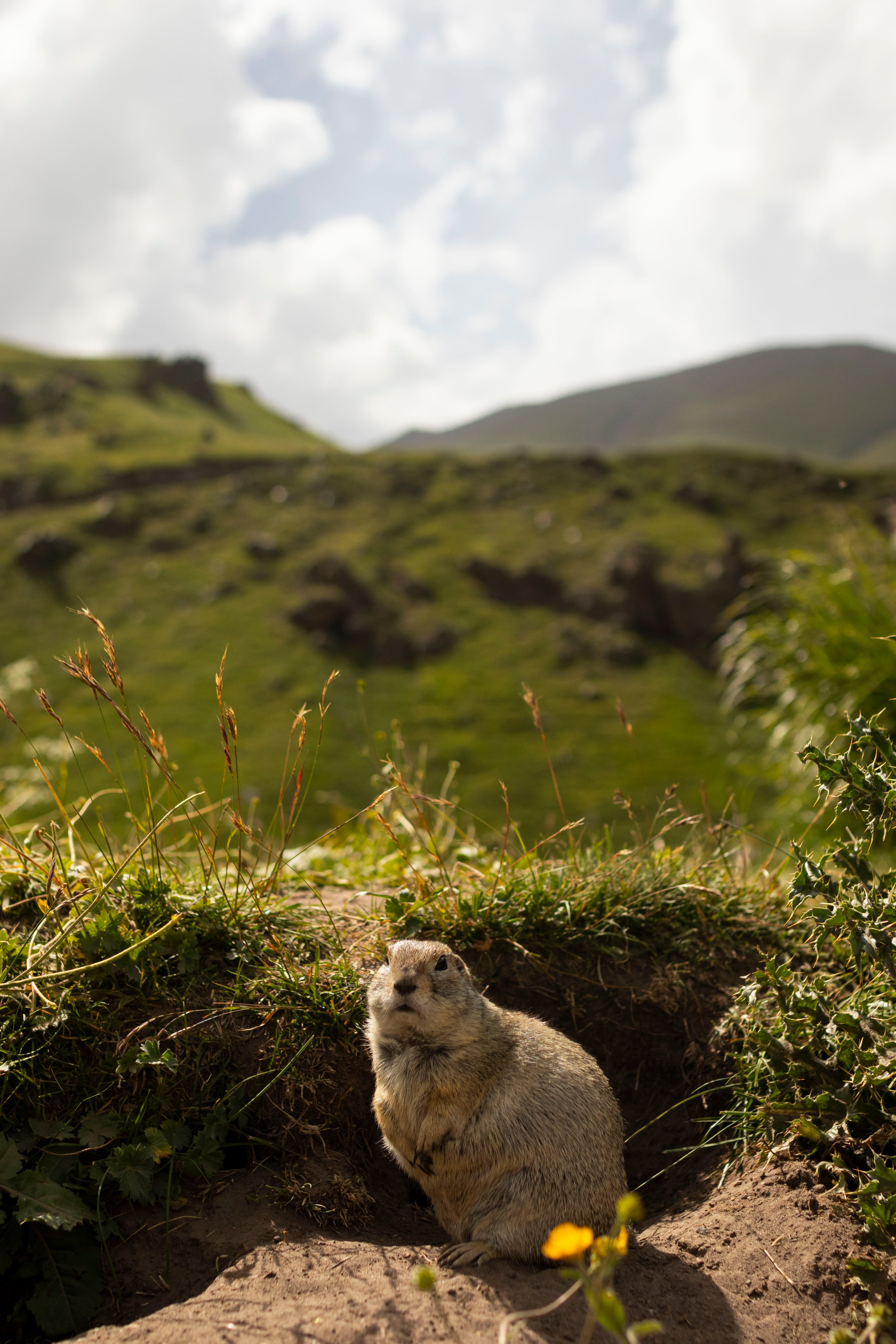 Репортажи / мероприятия. Свадебный фотограф в Москве Александра Соболева |Weddings, people, travel, etc