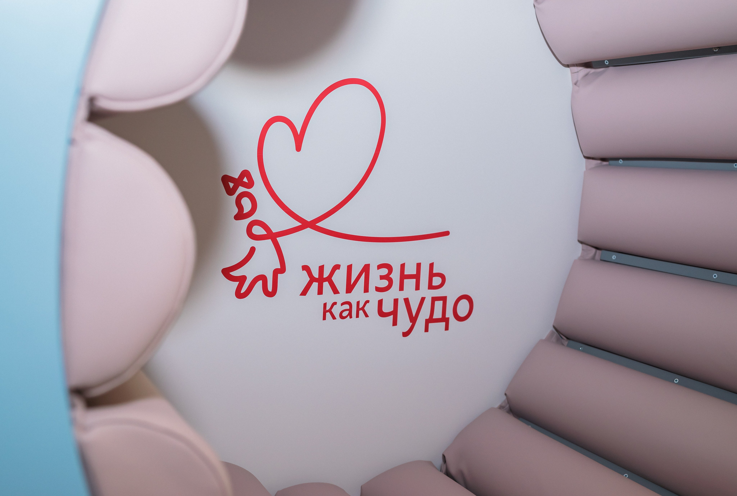 Жизнь как чудо. детская областная больница. Фотограф Исламова Лилия, Смоленск