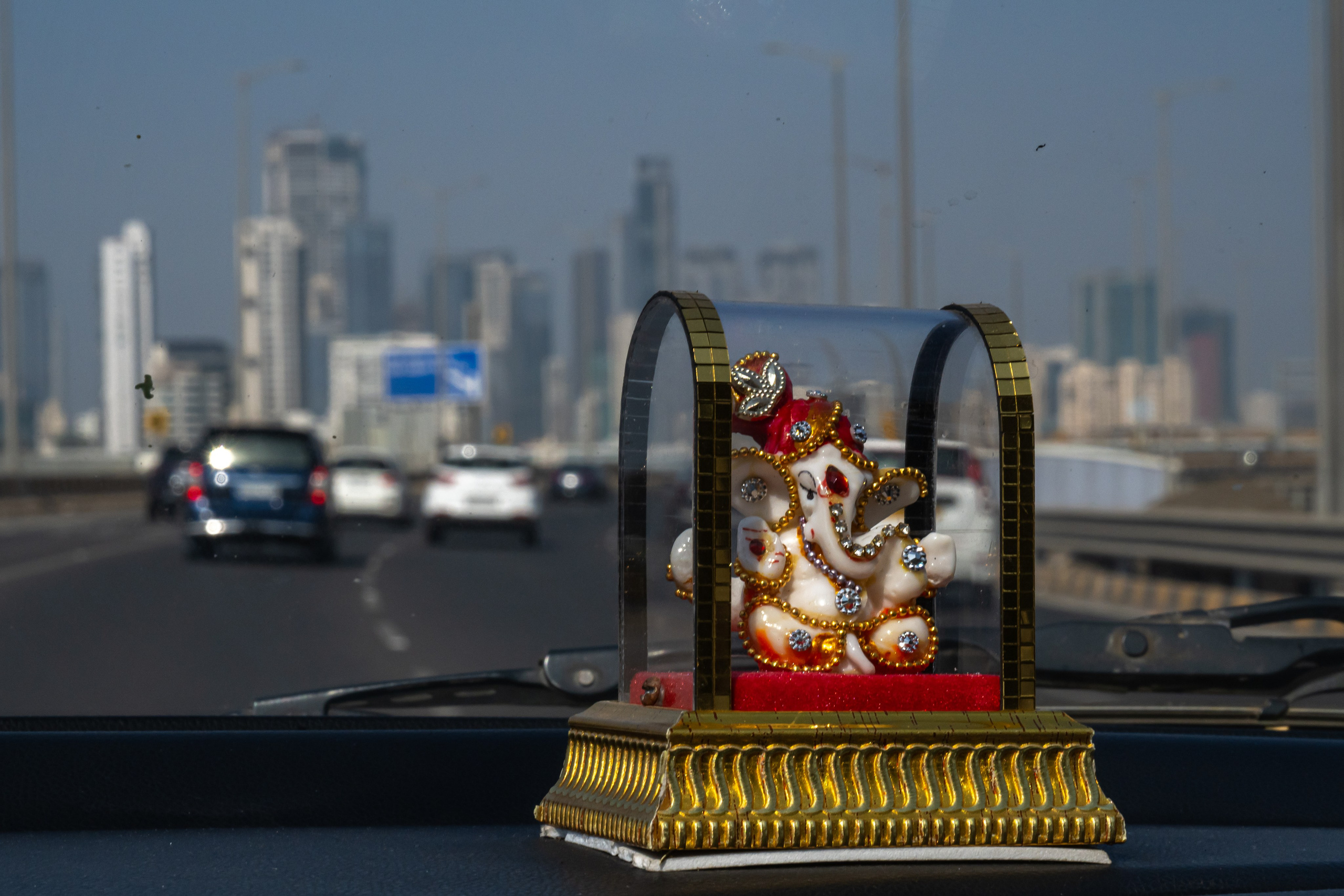 India 2024-2025. Dimitri Bakhtadze photographer