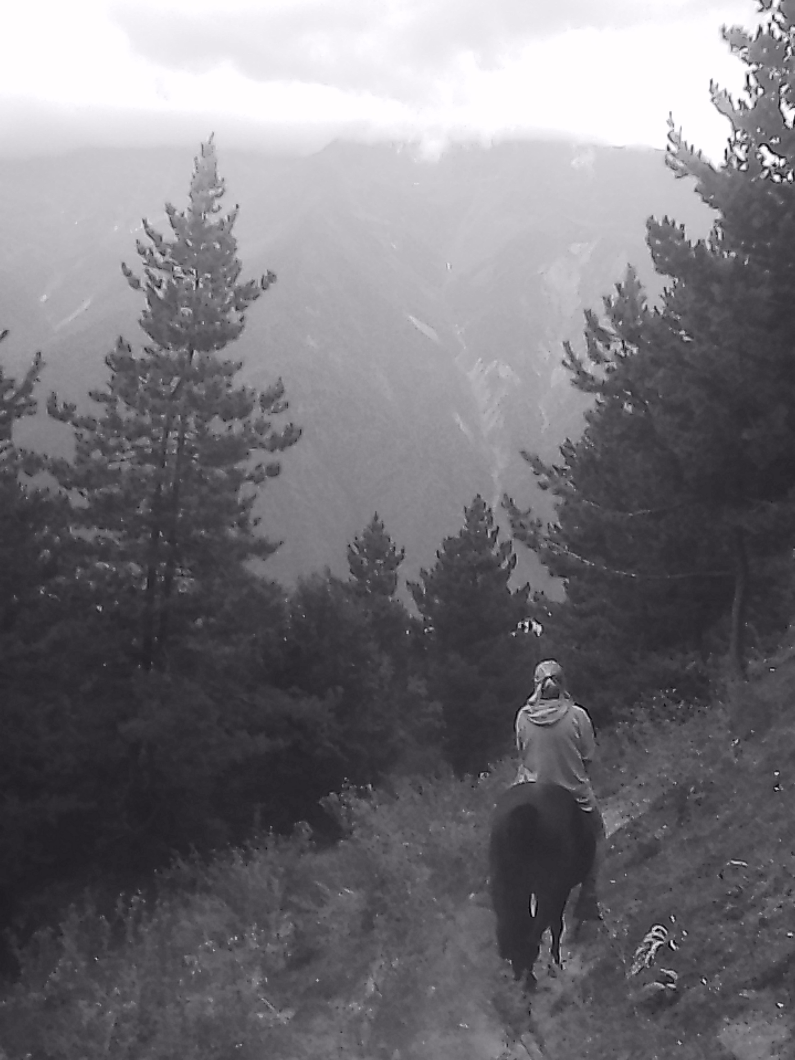 «Крошка 🐣». Anita_photo