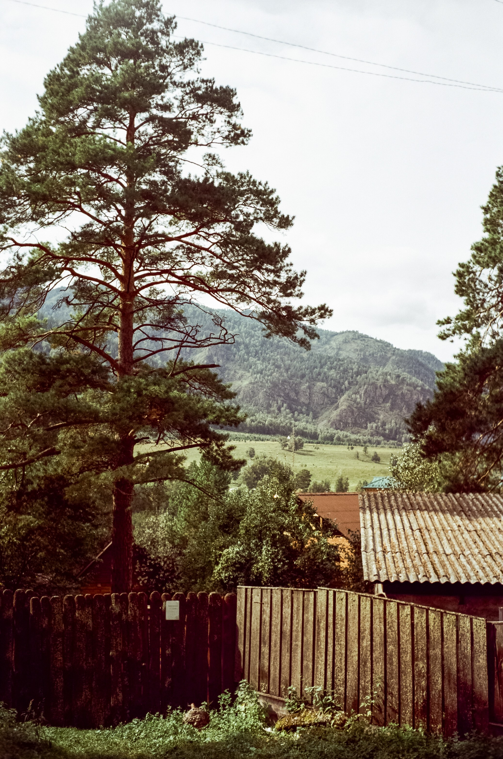 Остров Патмос и Сила Алтая, Семинский перевал / 29–30 августа 2024 года