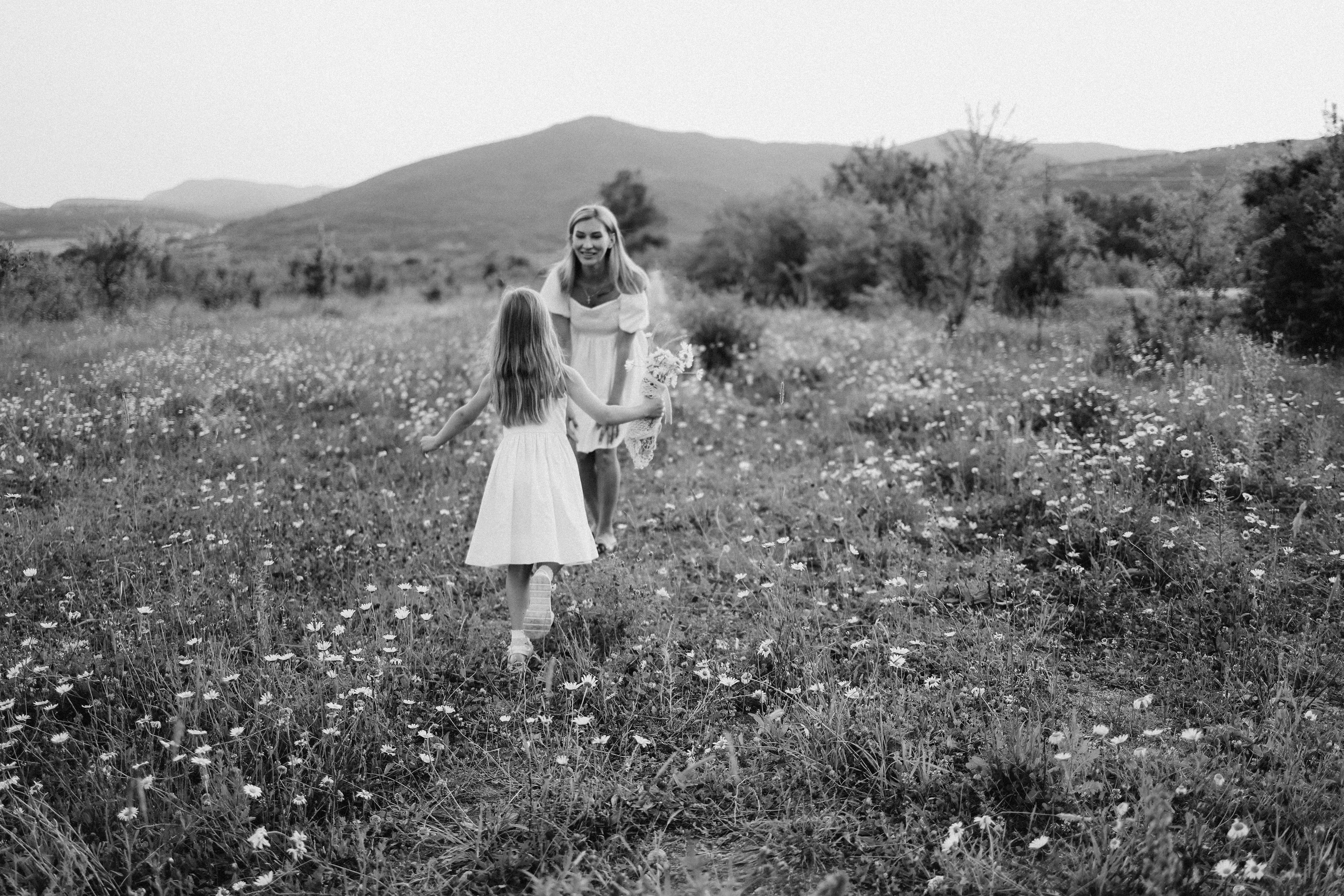 Ромашки. Фотограф Немазенко Ольга