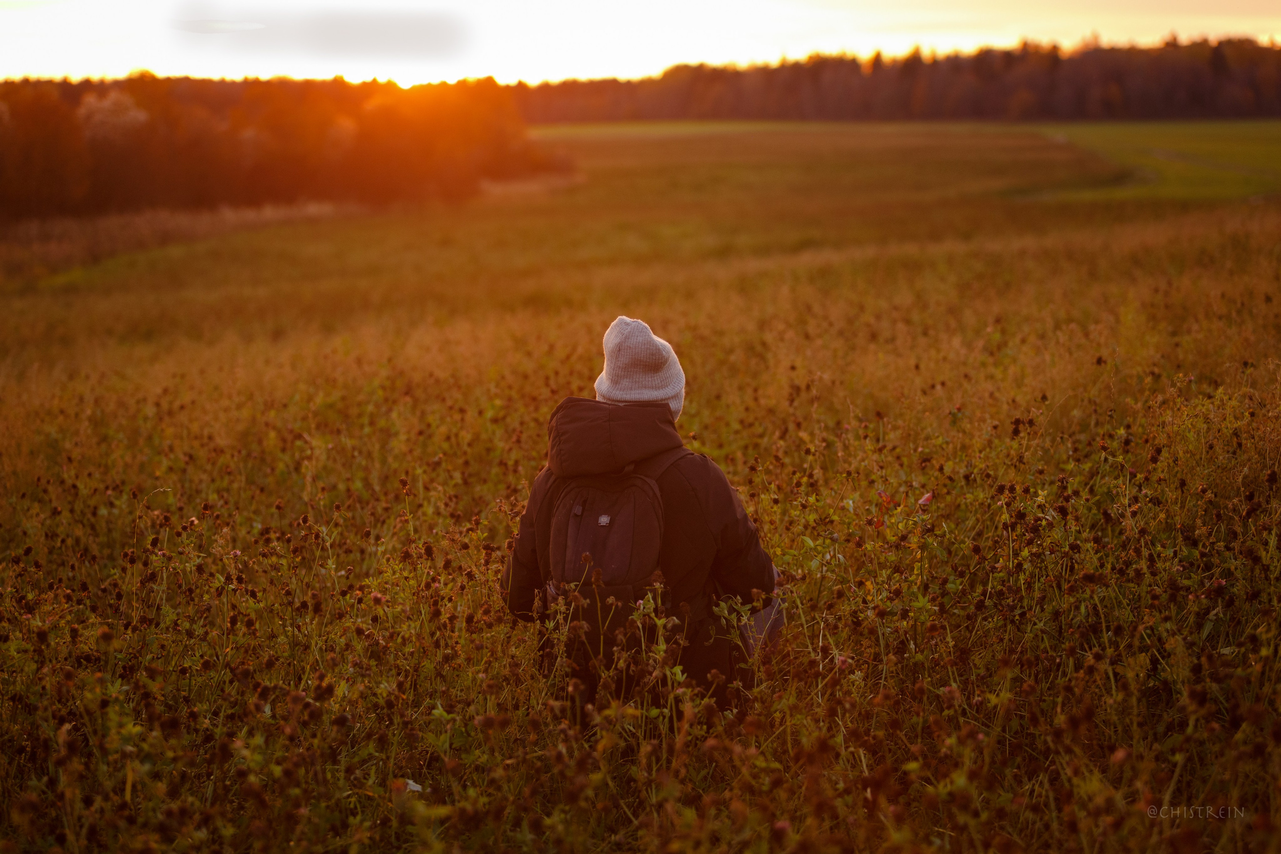Октябрьский закат в полях. Алина и Лео. Фотограф-анималист Наталия Чистюхина в г. Сосновый Бор и ЛО