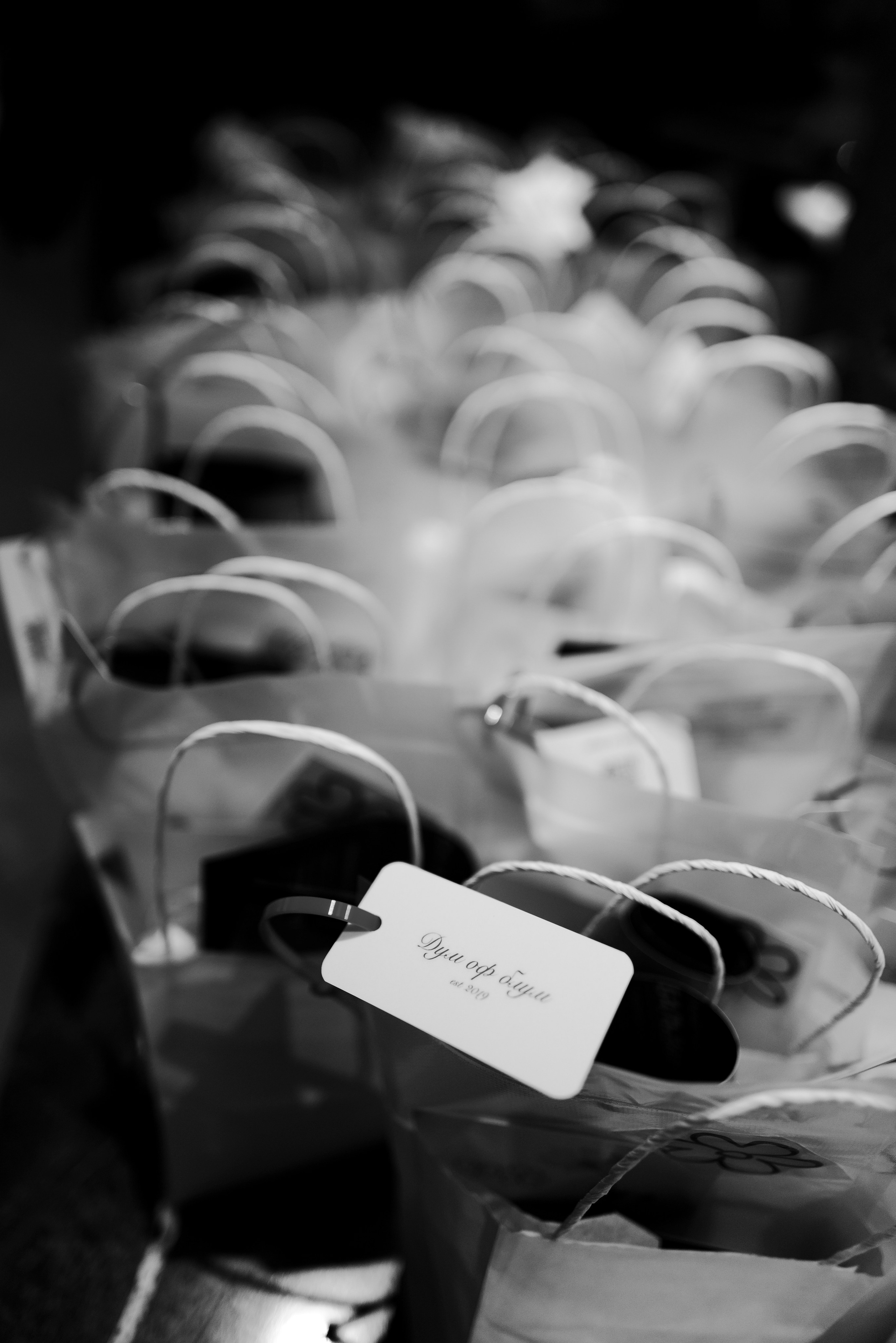 Lu Girls Only. Maxon Magnusson