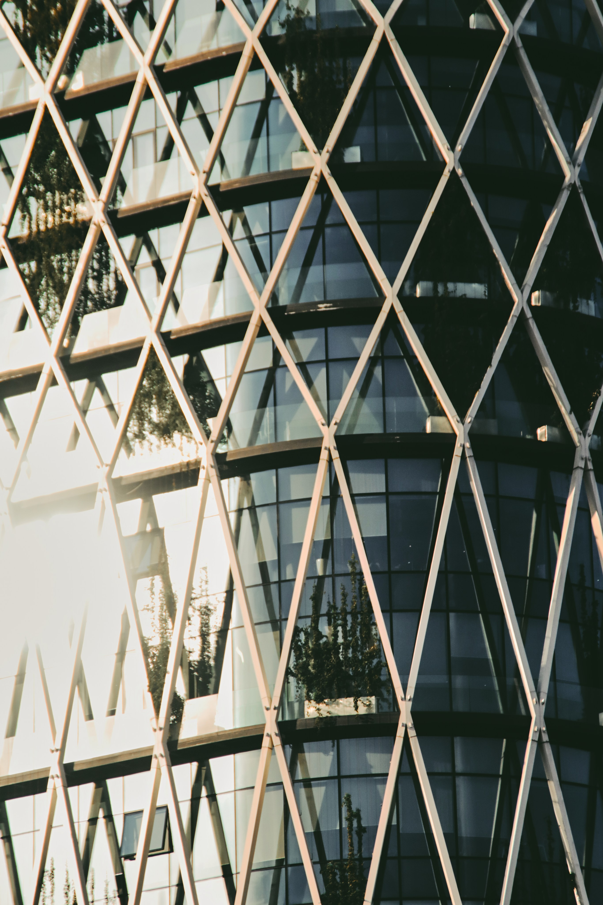 Москва. Фотограф Александр Рауш