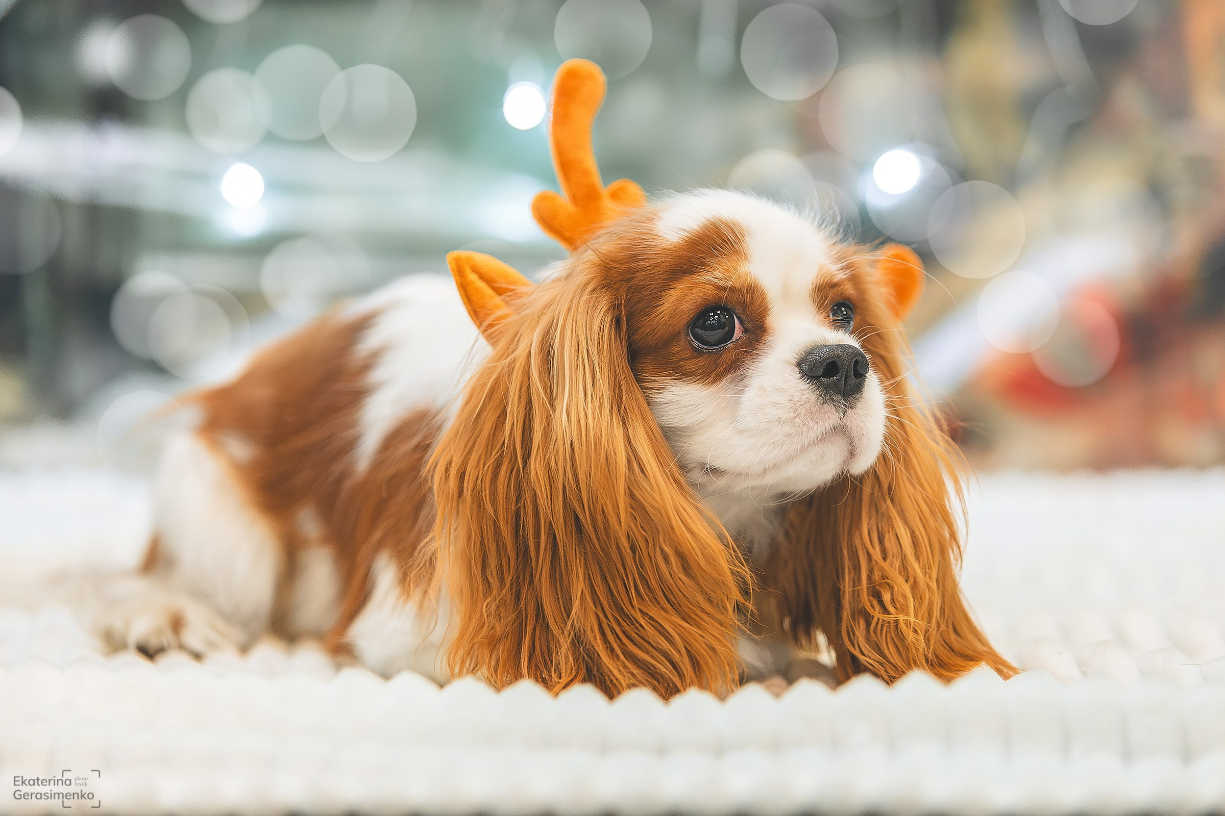 Фотодень. Htykk_photo