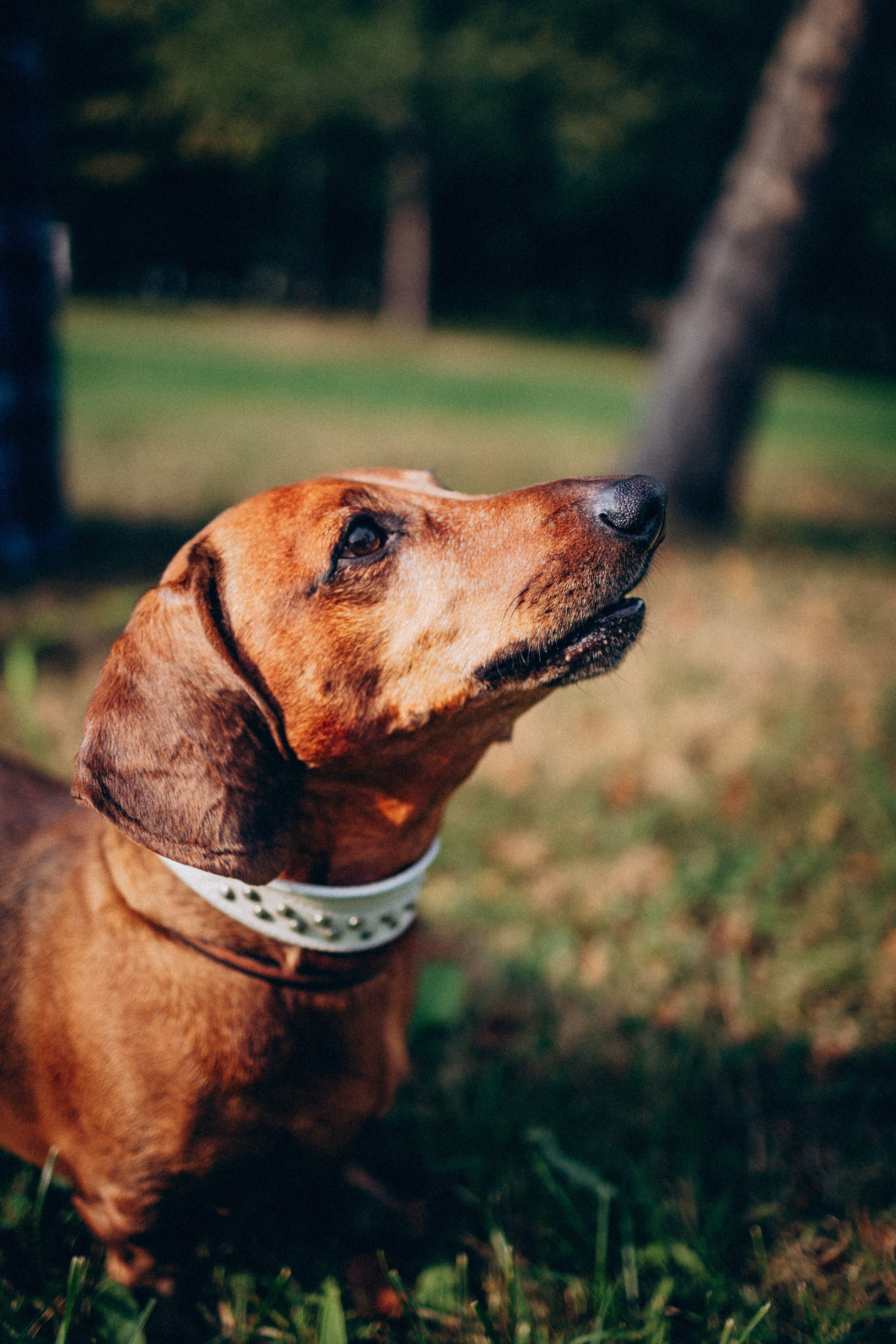 Семья. Фотограф в Санкт-Петербурге Светлана Арестова