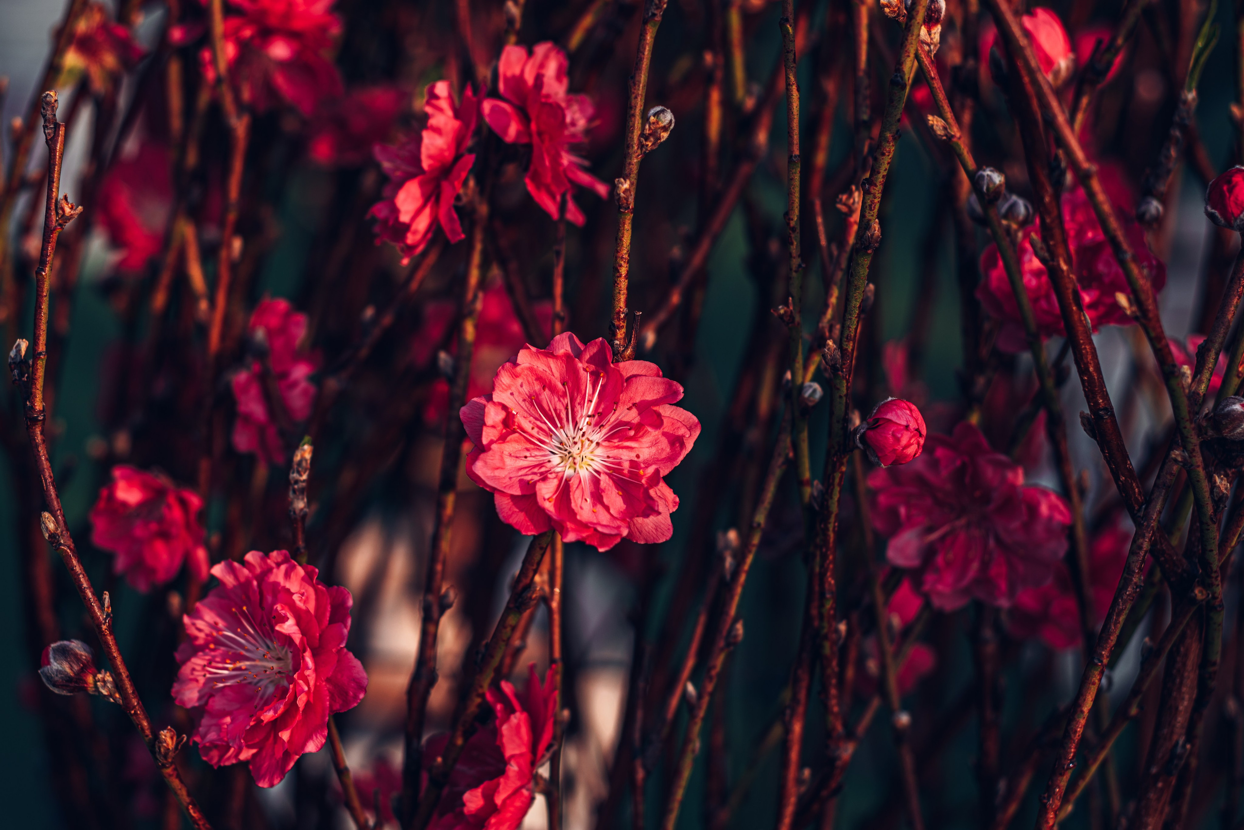 Путешествие рекламного фотографа из Гуанчжоу по Гонконгу 2 | Истории и вдохновение. Коммерческий и предметный фотограф в Гуанчжоу Коваленко Александр