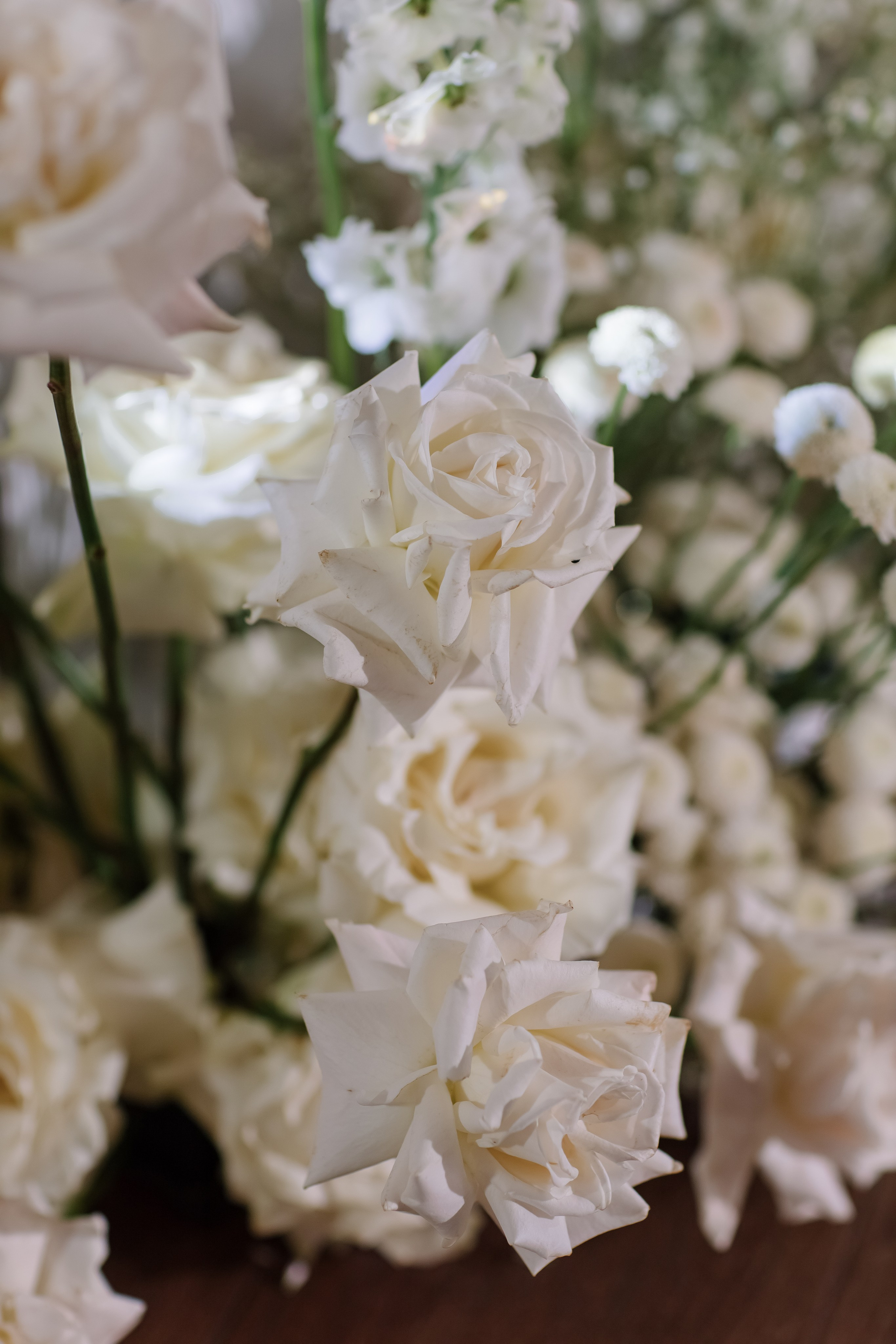 Вадим/Дарья. Свадебный фотограф